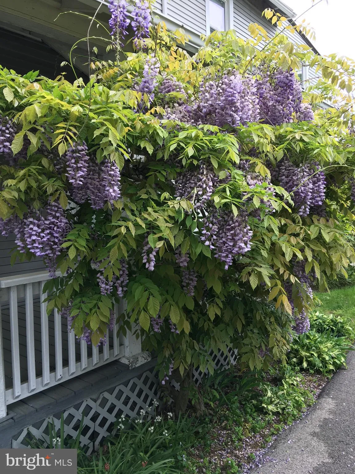 Bryn Mawr, Pennsylvania 19010, United States, 1 Bedroom Bedrooms, ,1 BathroomBathrooms,Residential,Active,111347