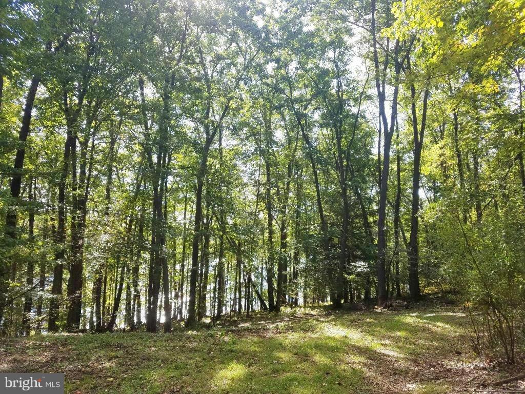 WATERSIDE AT WISP - Land