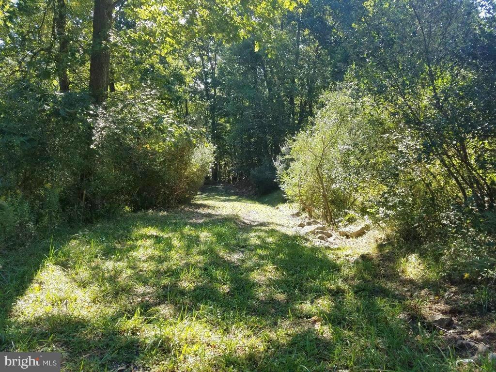 WATERSIDE AT WISP - Land