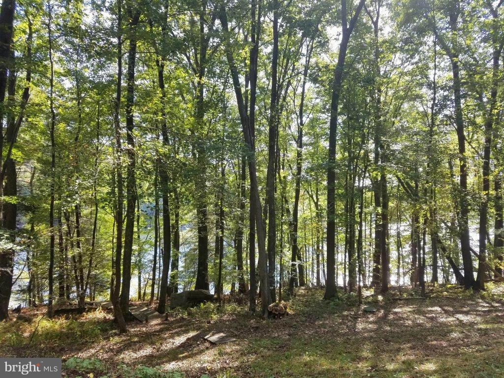 WATERSIDE AT WISP - Land