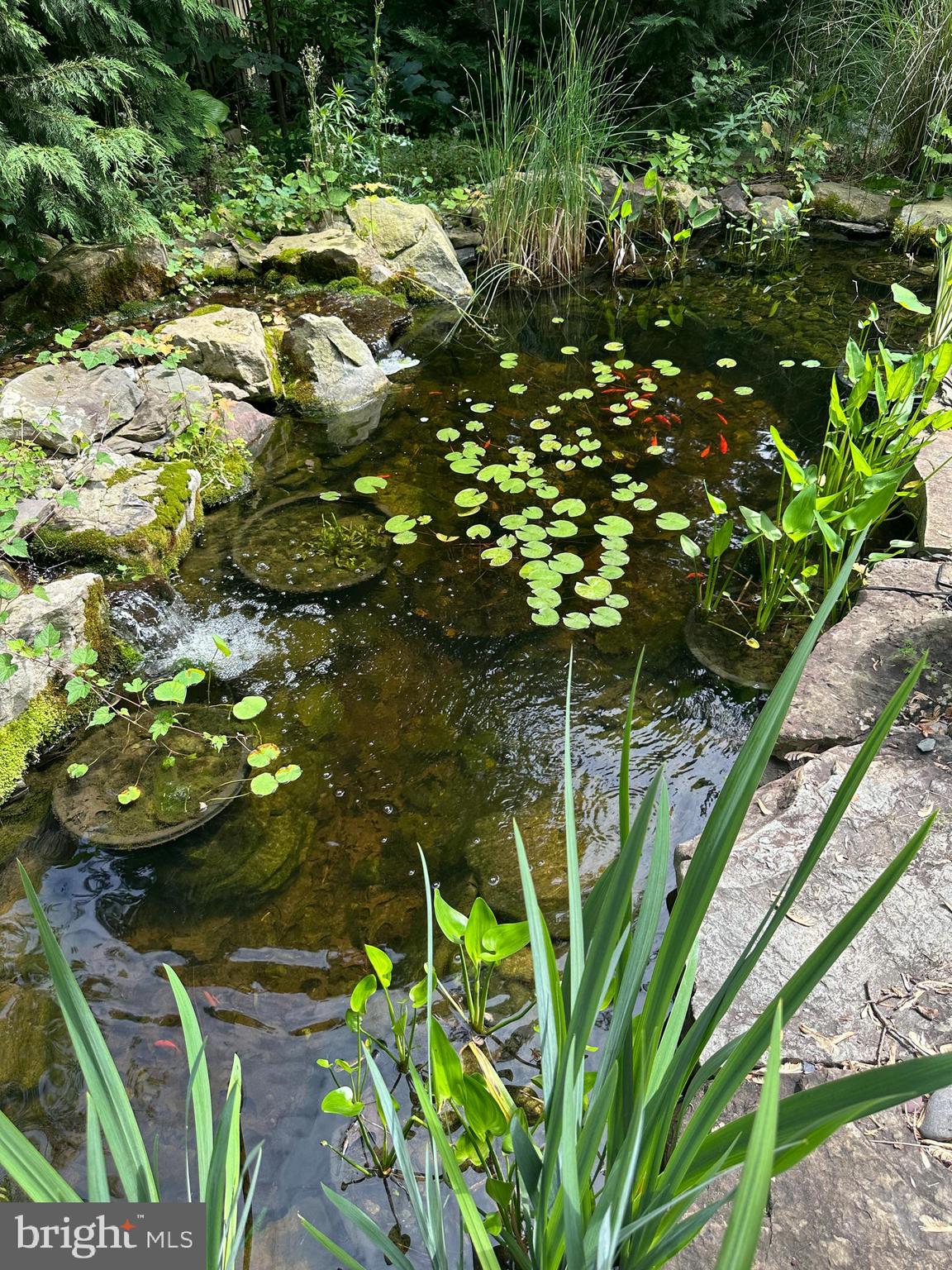 BURNING TREE MANOR - Residential