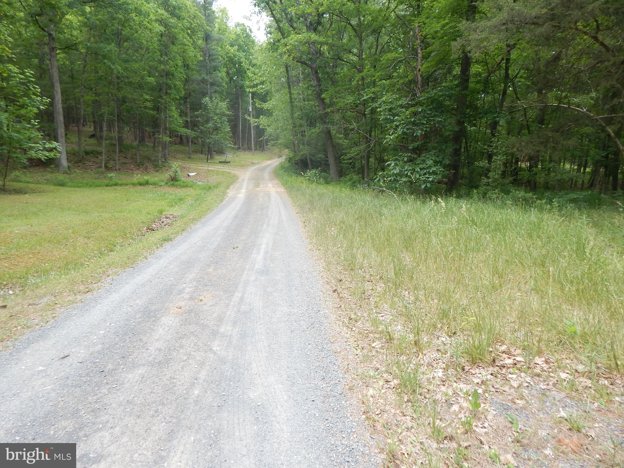 CAPON MOUNTAIN - Land