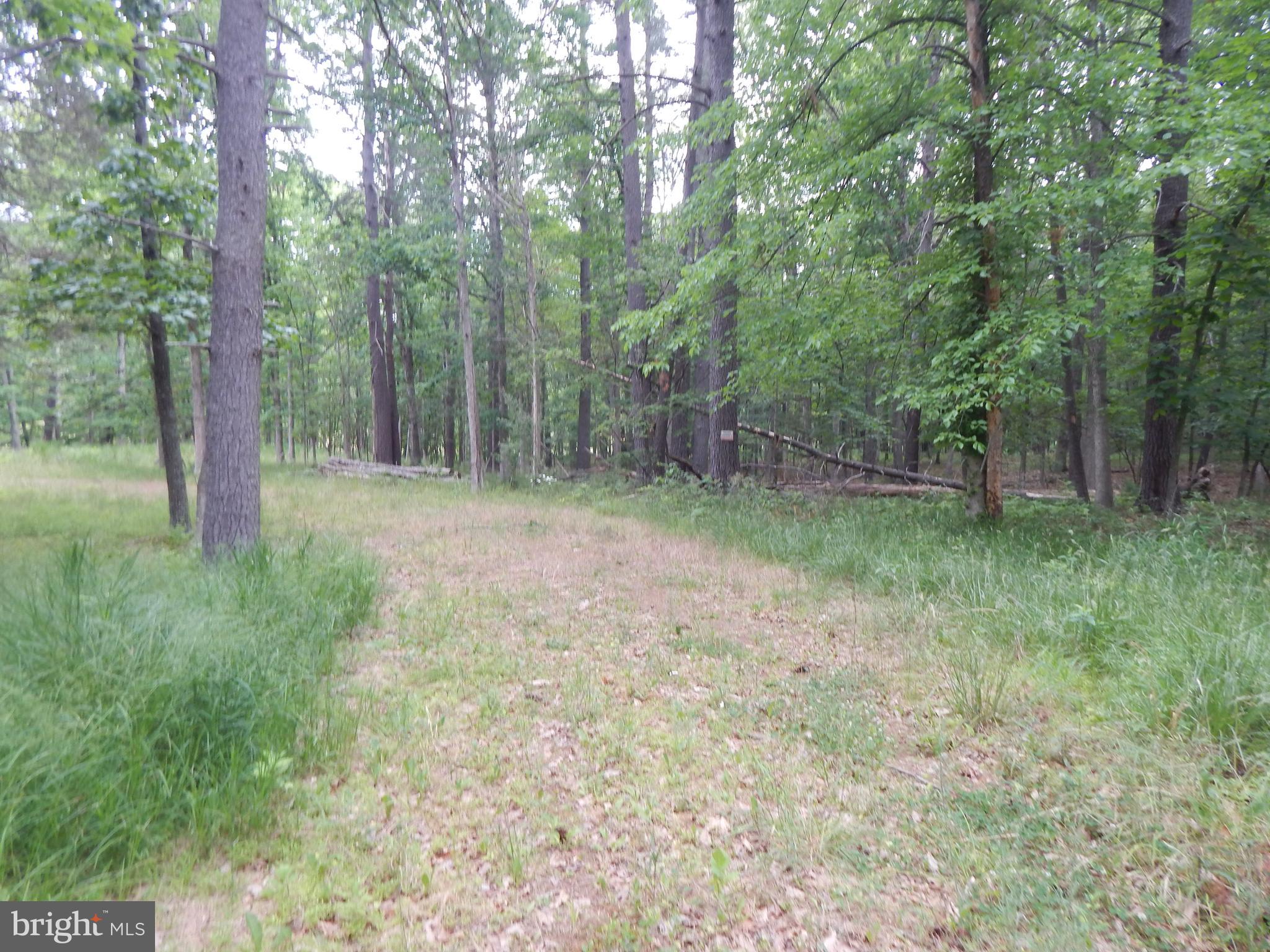 CAPON MOUNTAIN - Land