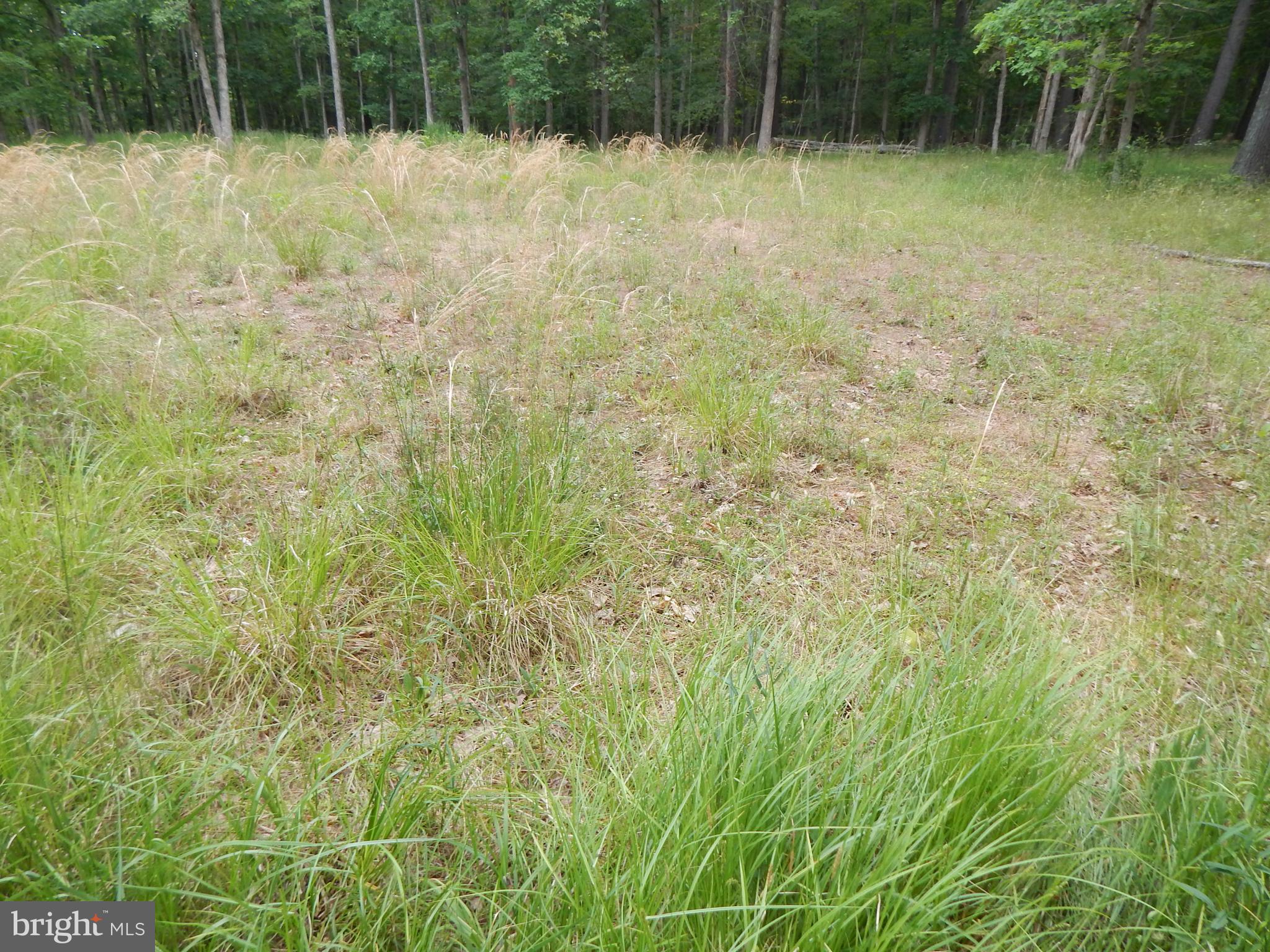 CAPON MOUNTAIN - Land