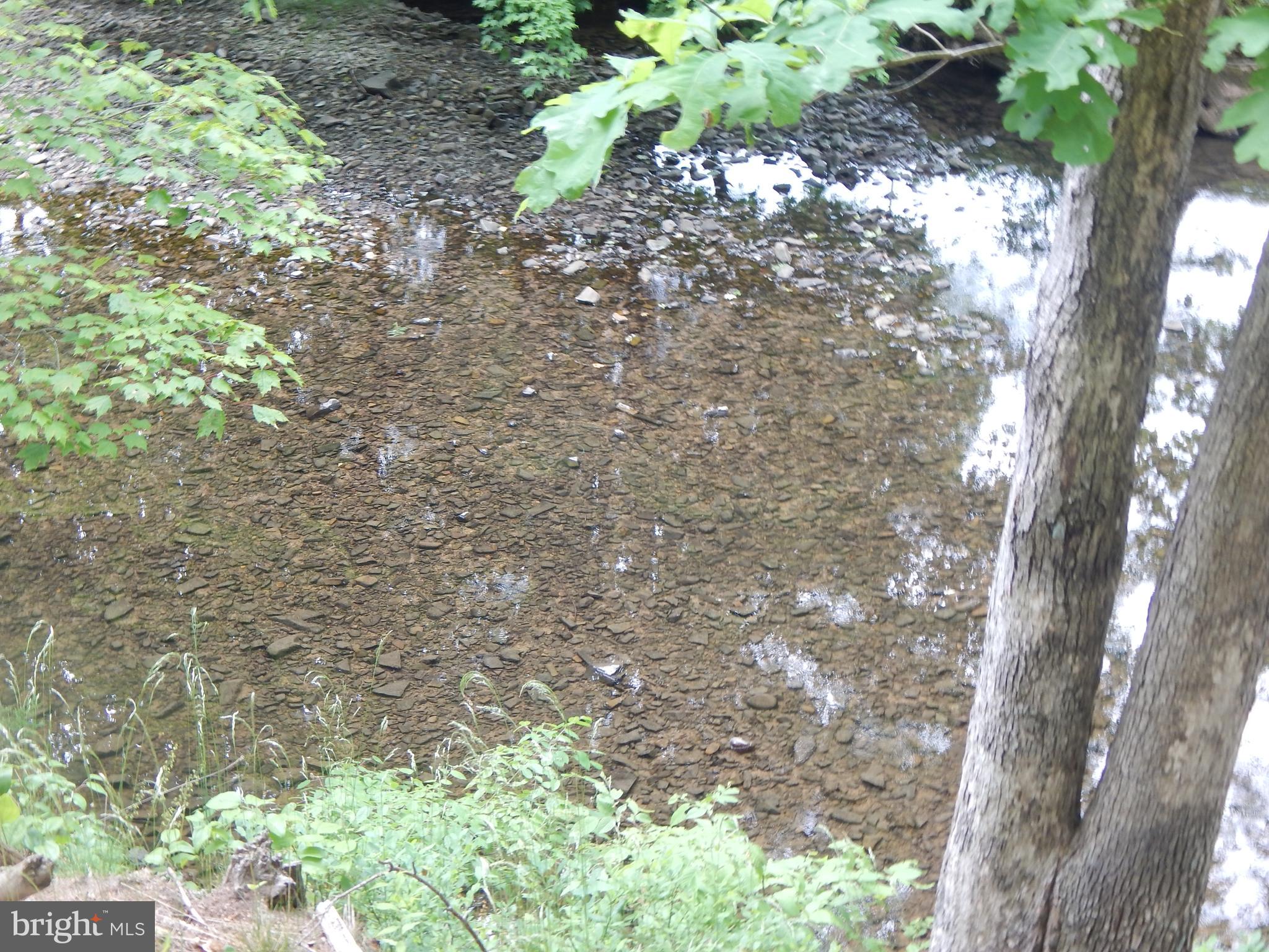 CAPON MOUNTAIN - Land