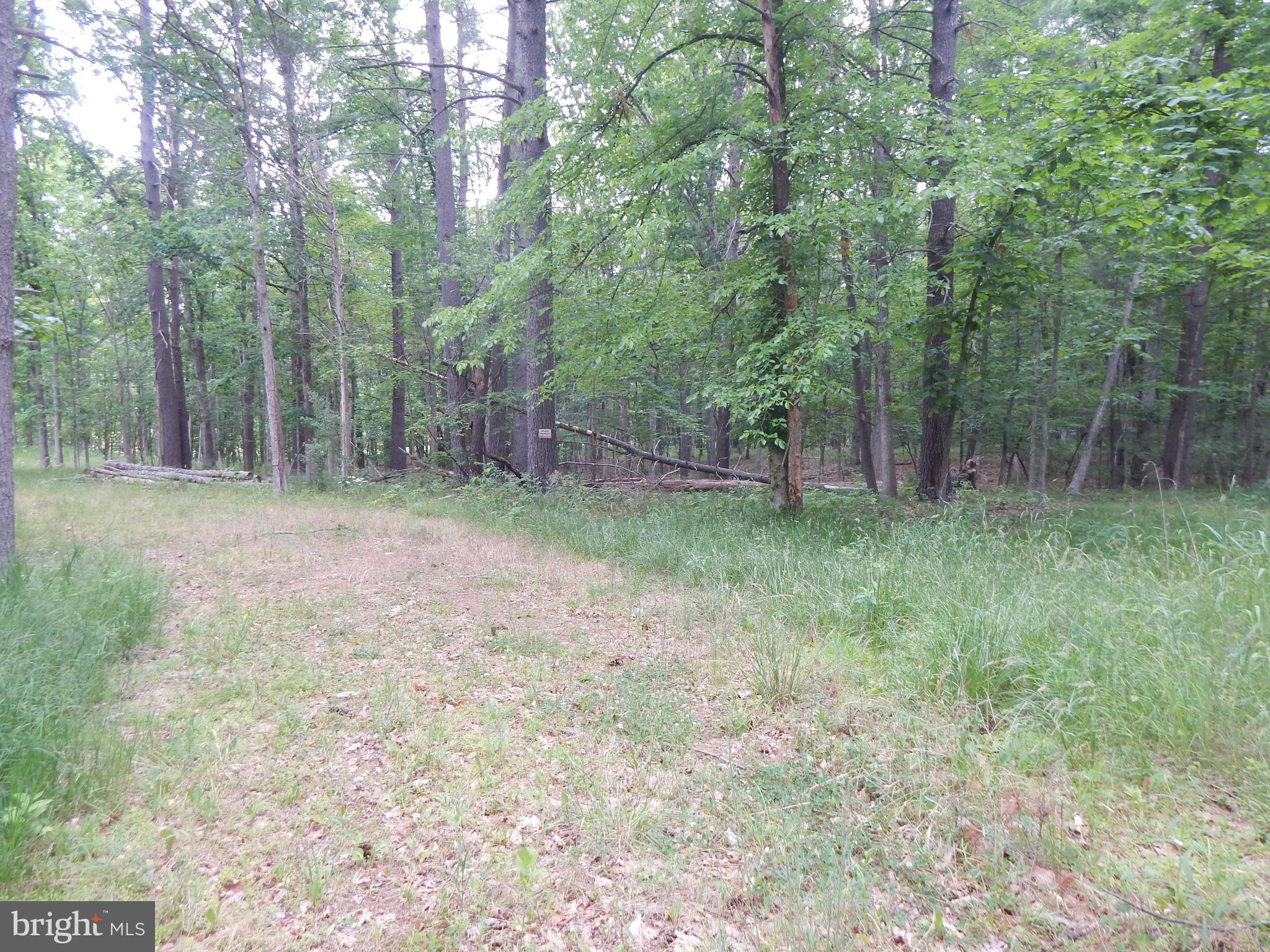 CAPON MOUNTAIN - Land