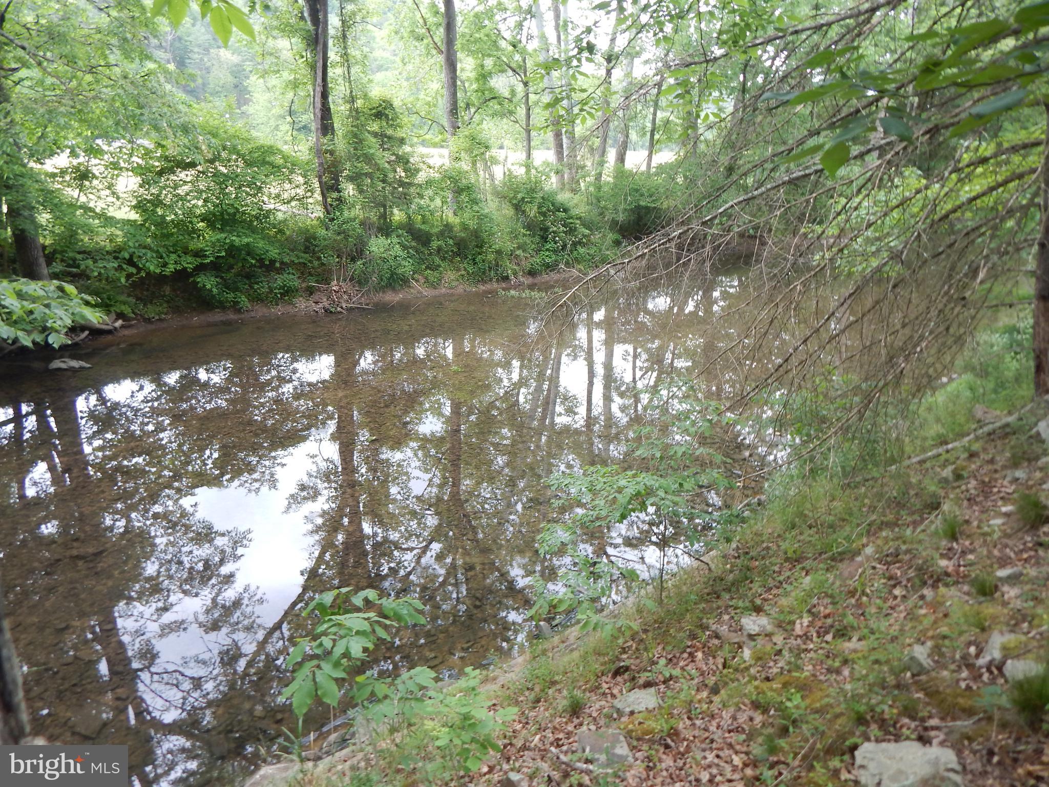 CAPON MOUNTAIN - Land