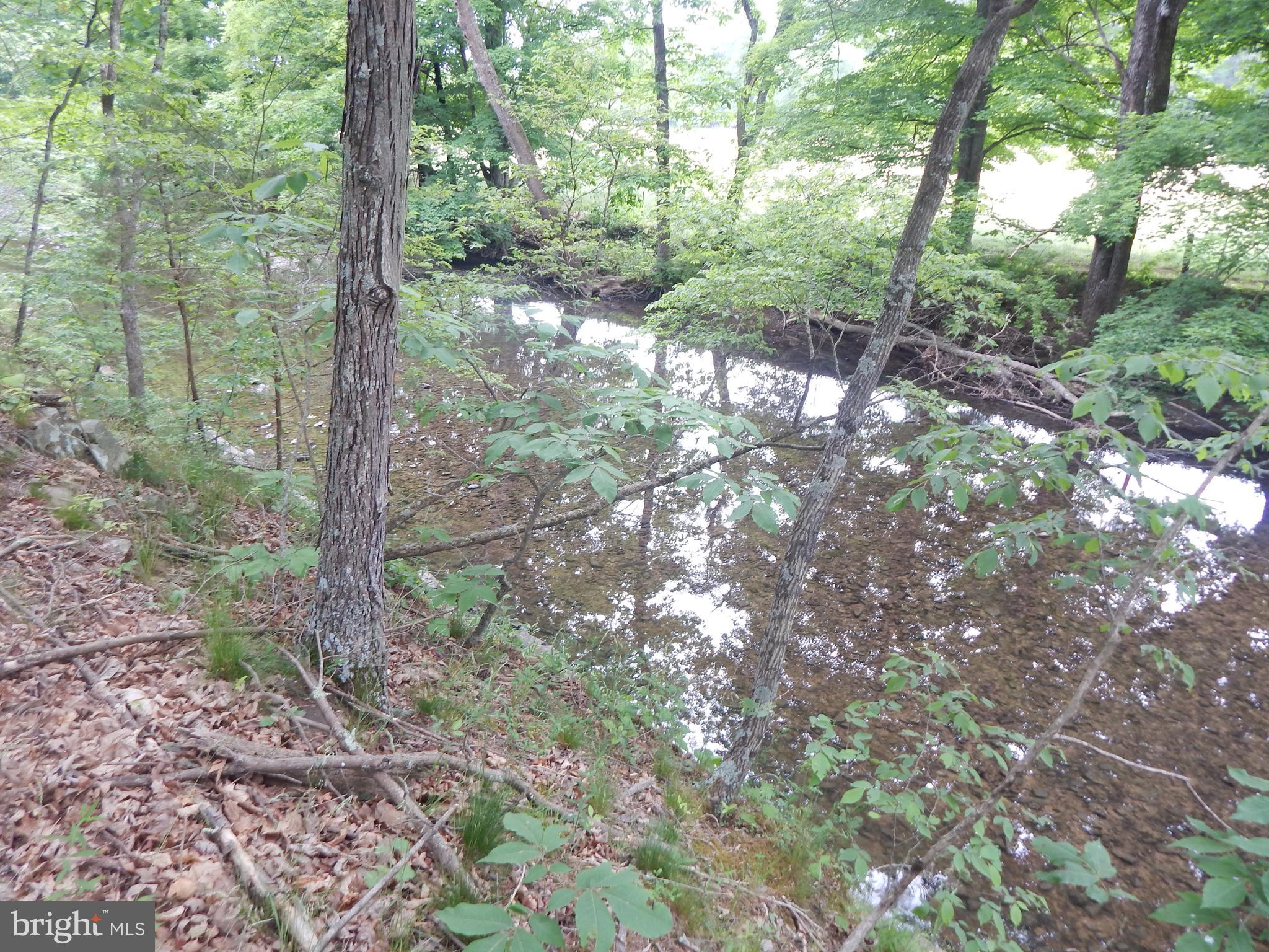 CAPON MOUNTAIN - Land