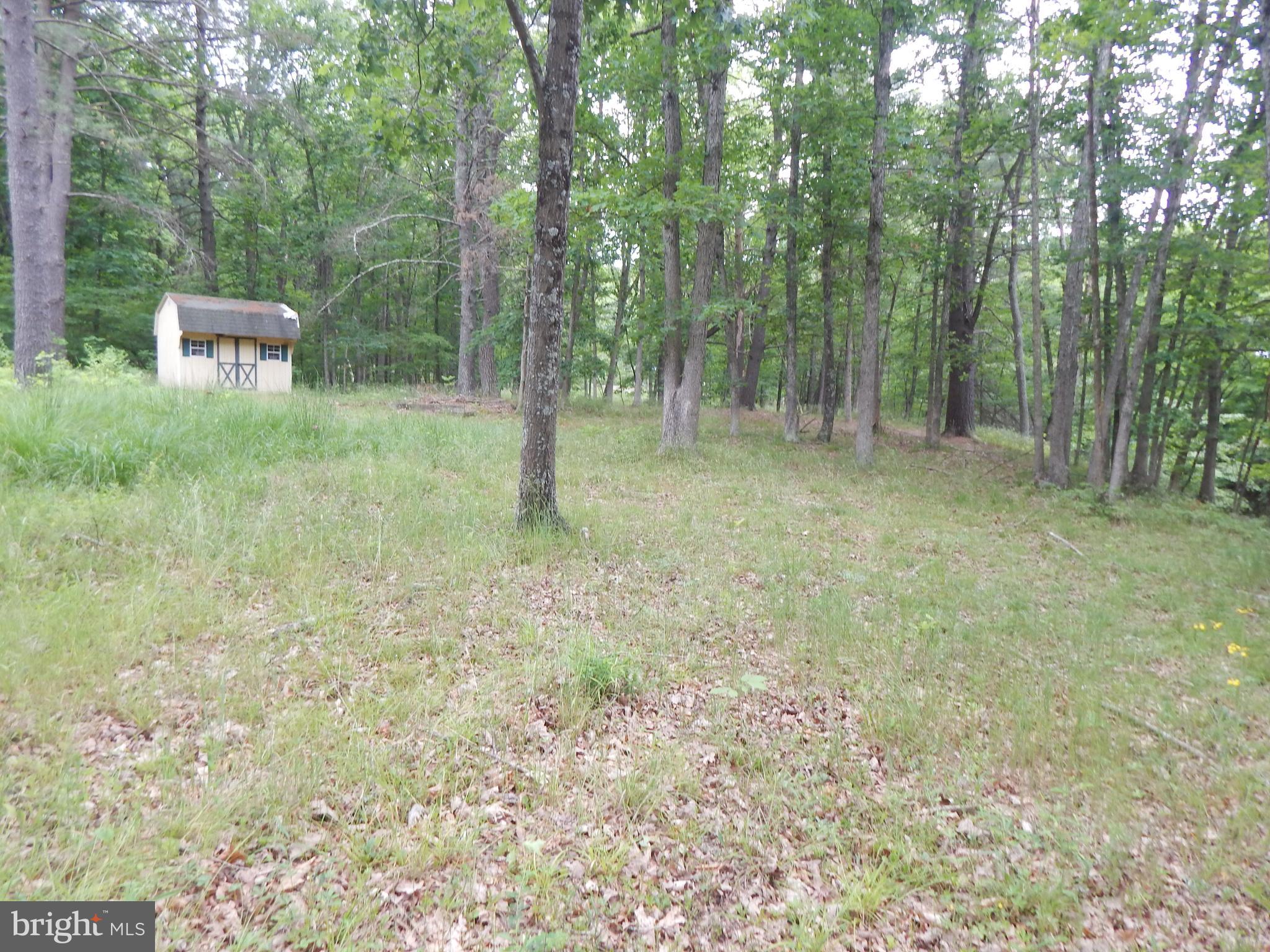 CAPON MOUNTAIN - Land