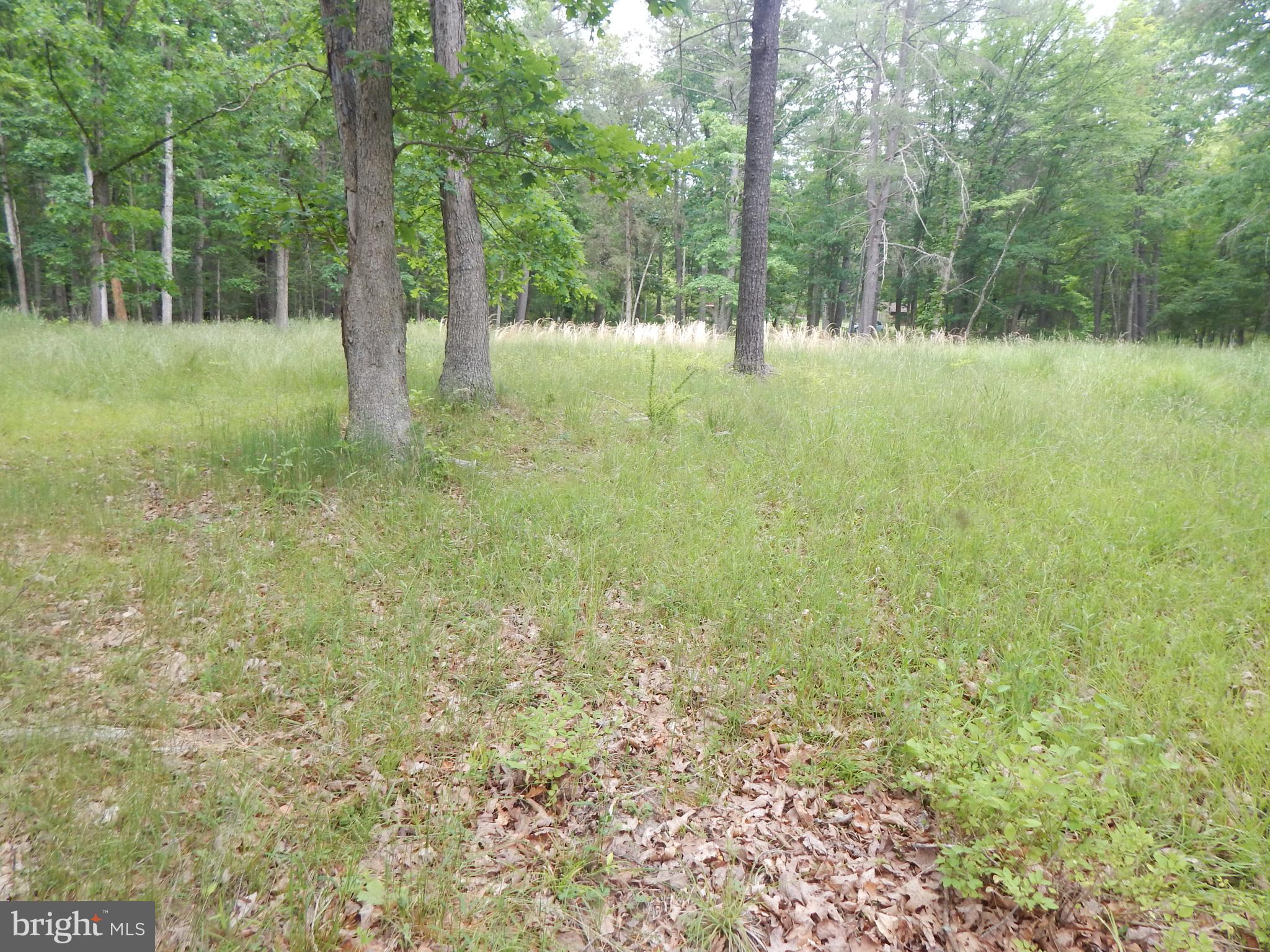 CAPON MOUNTAIN - Land