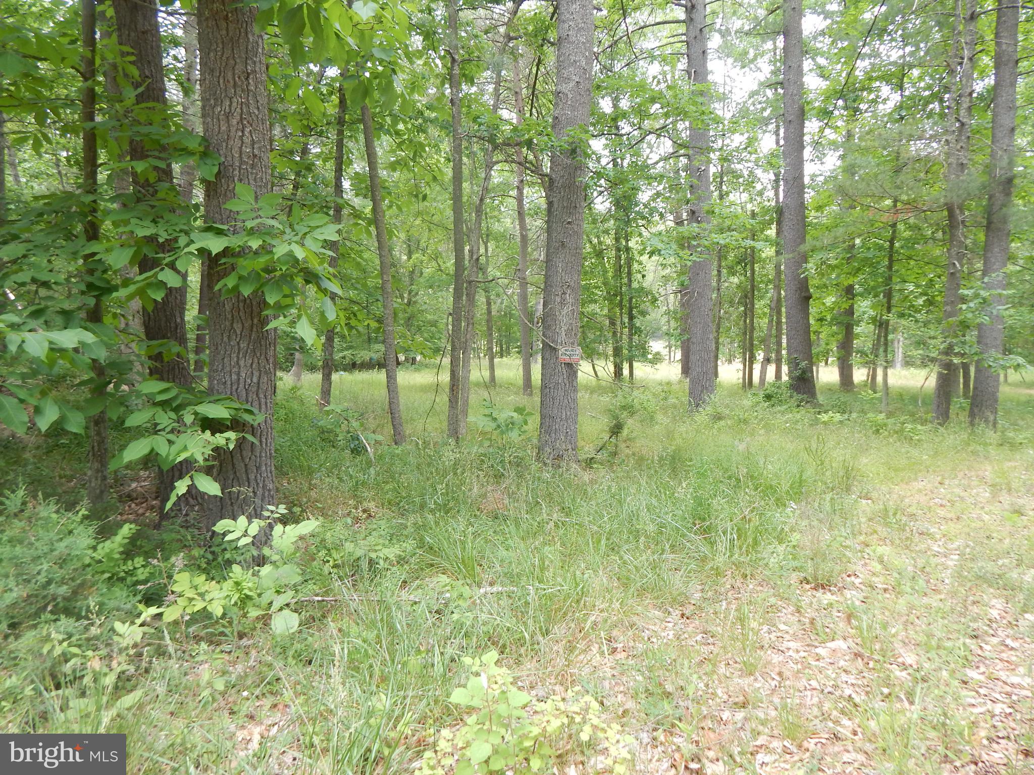 CAPON MOUNTAIN - Land