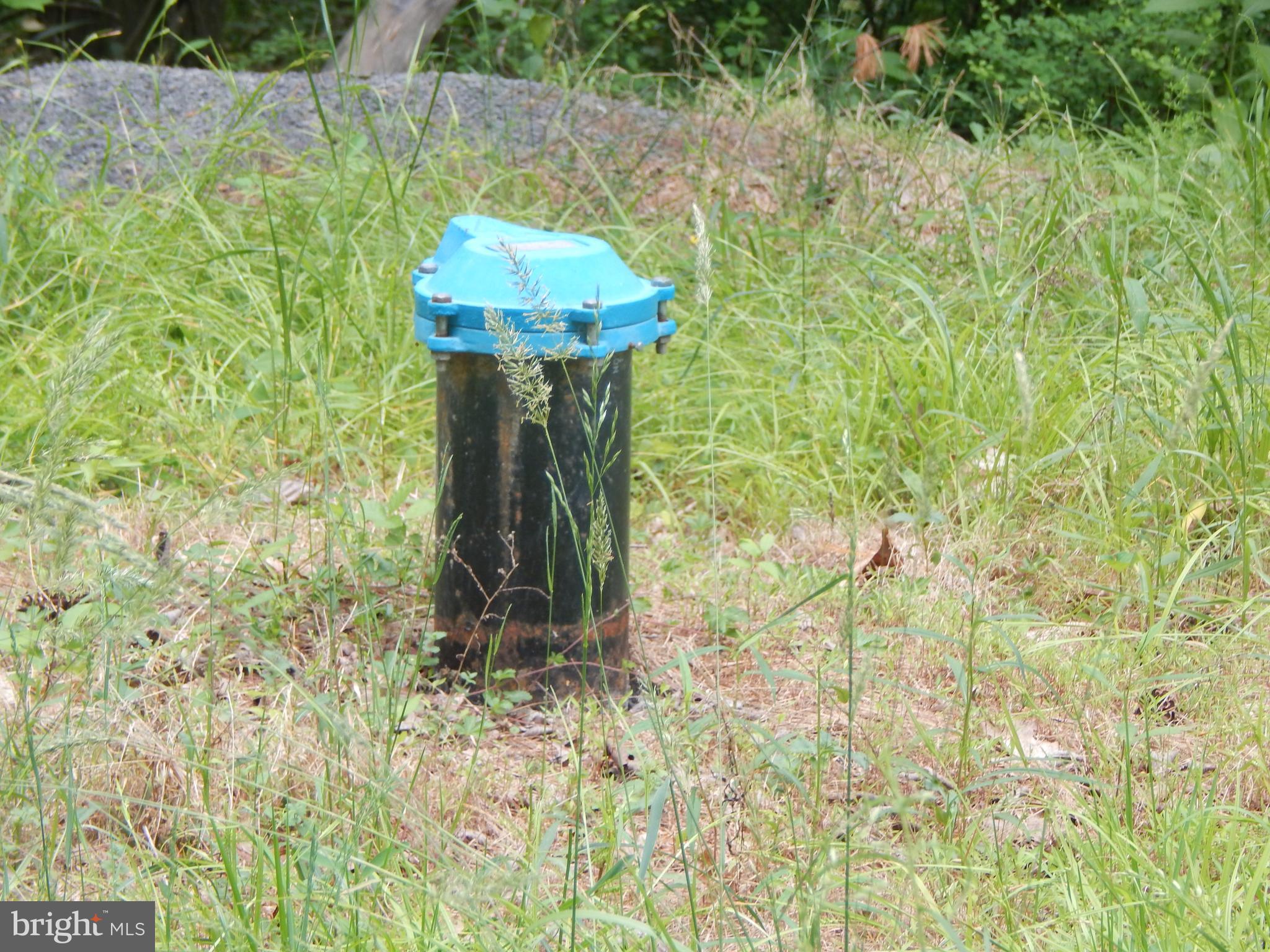 CAPON MOUNTAIN - Land