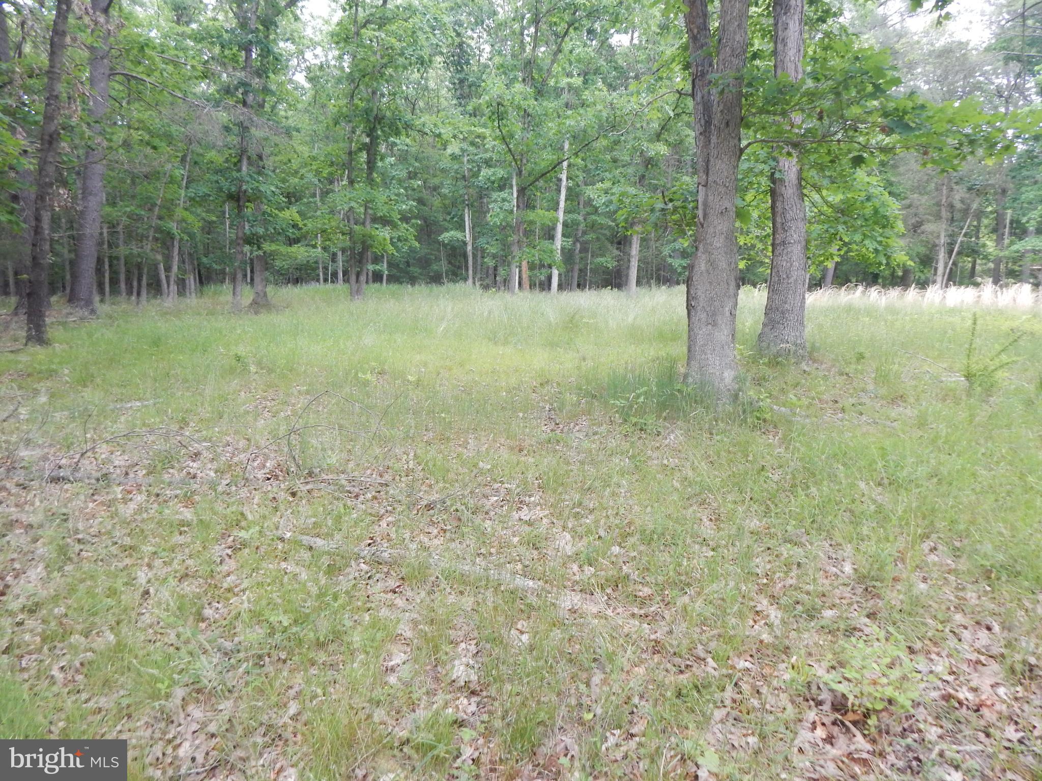 CAPON MOUNTAIN - Land