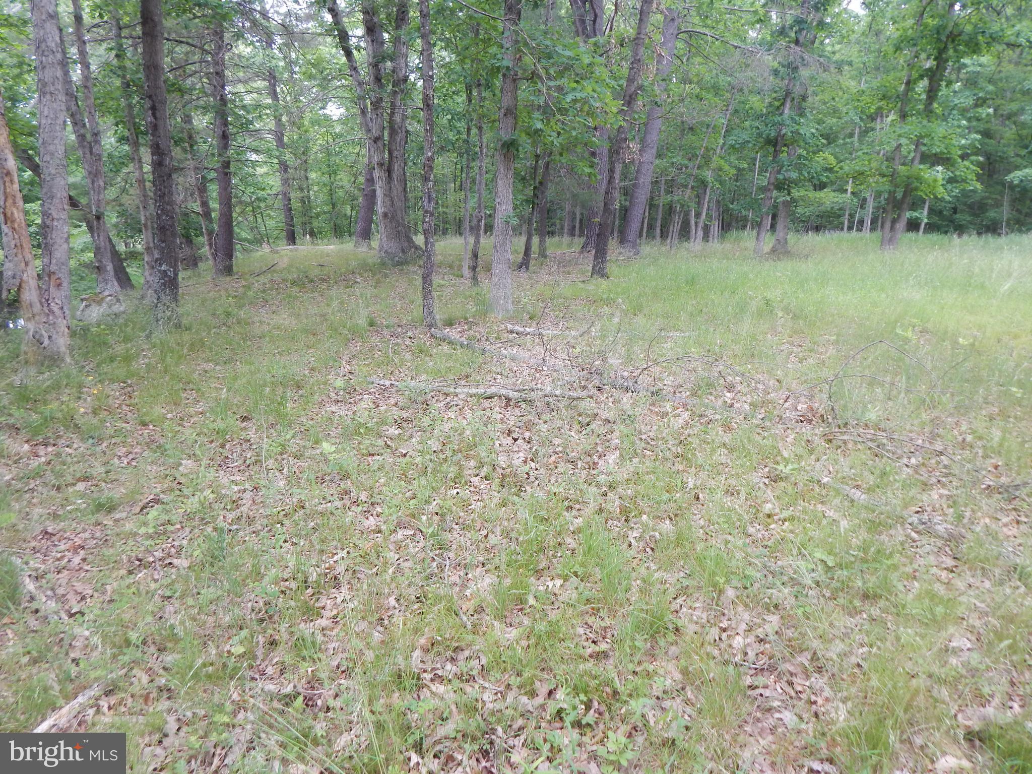 CAPON MOUNTAIN - Land