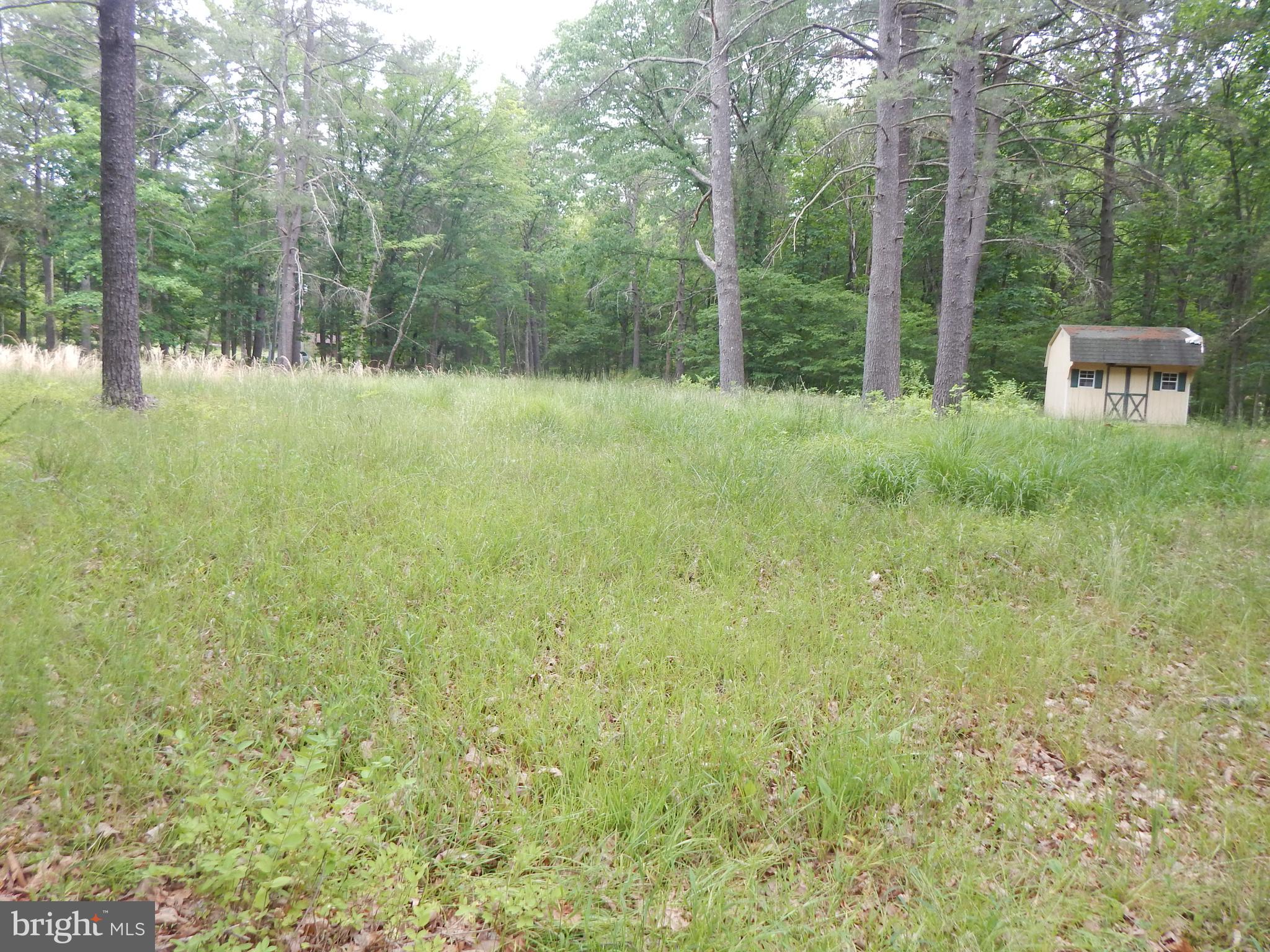 CAPON MOUNTAIN - Land