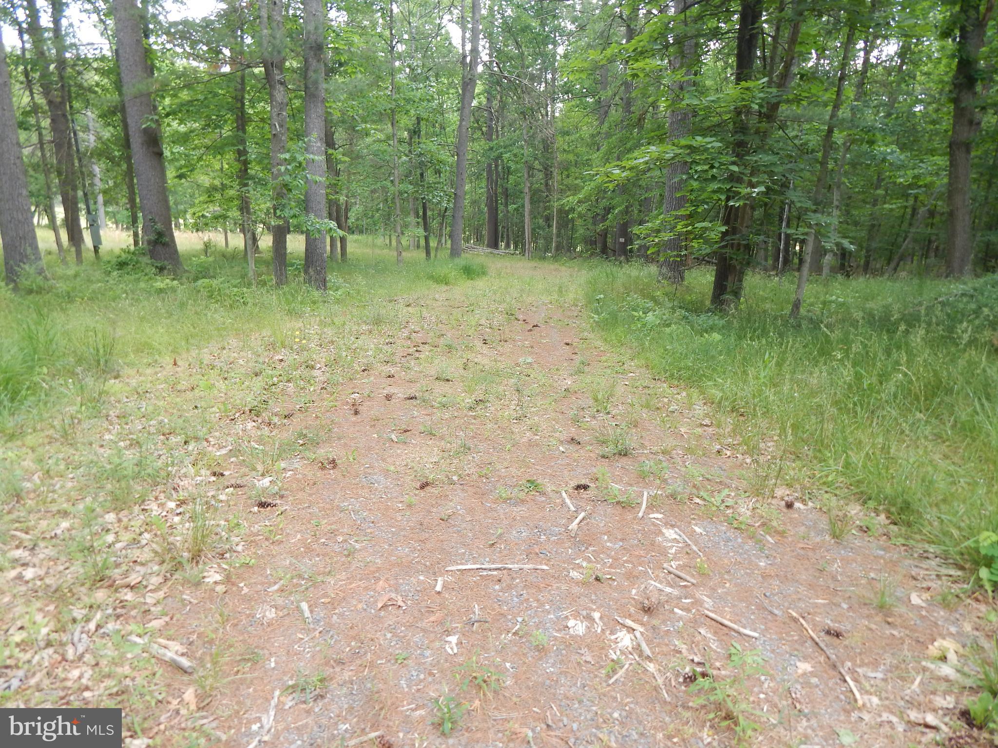 CAPON MOUNTAIN - Land