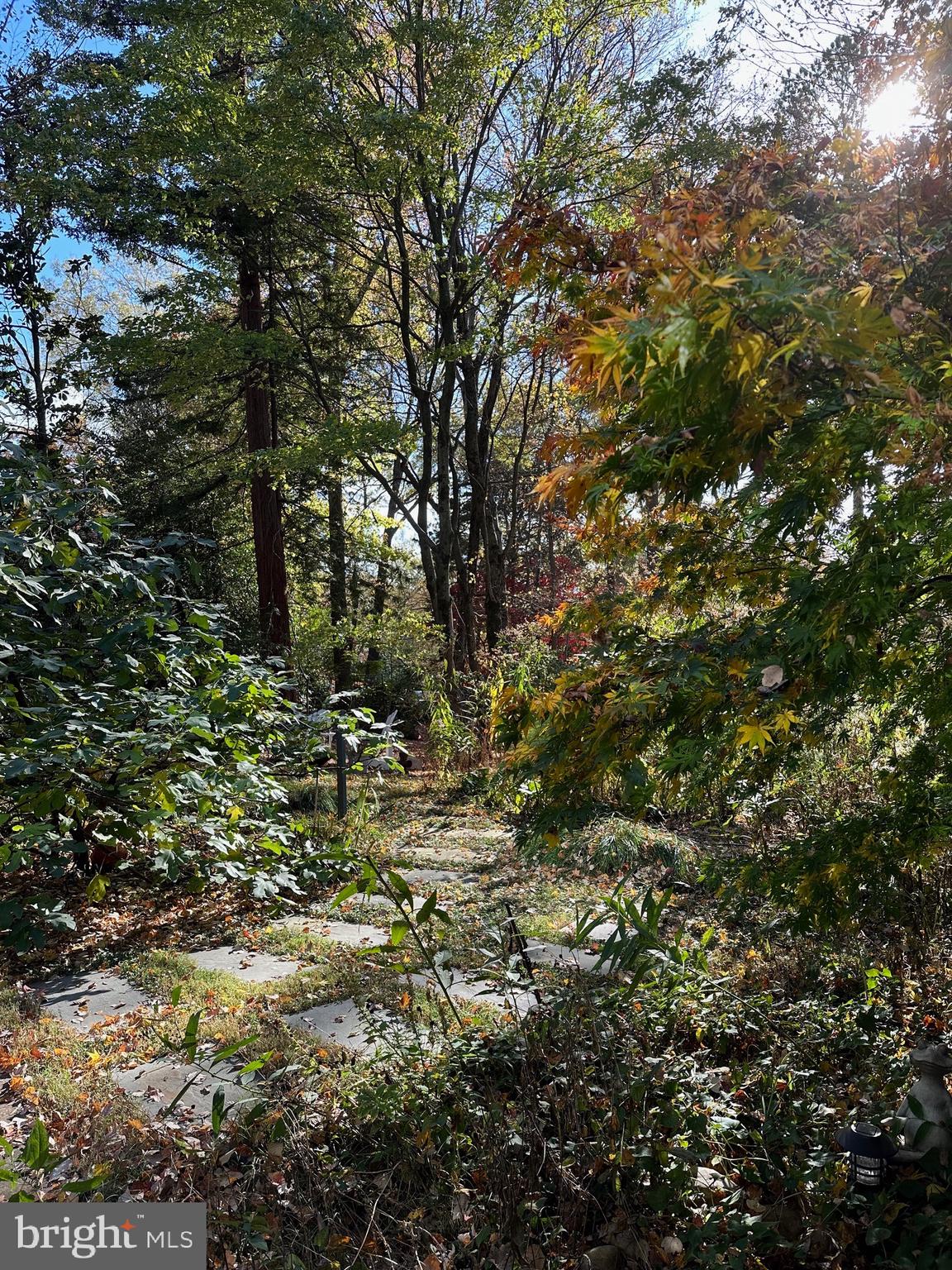 HOLLIN HILLS - Residential