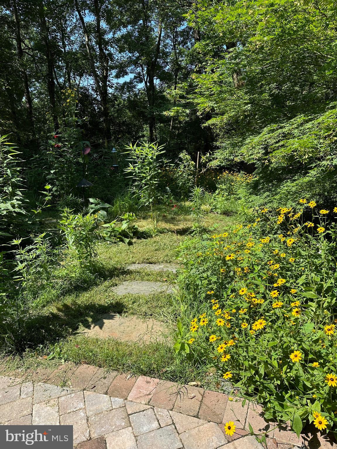 HOLLIN HILLS - Residential