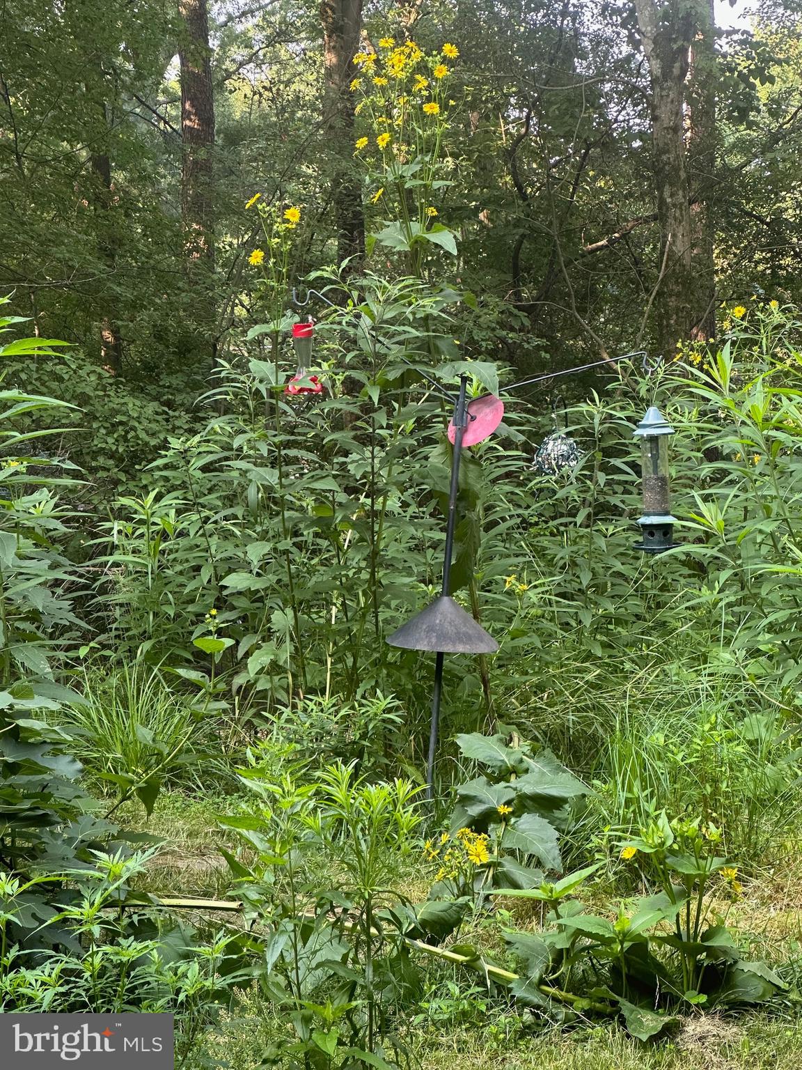 HOLLIN HILLS - Residential