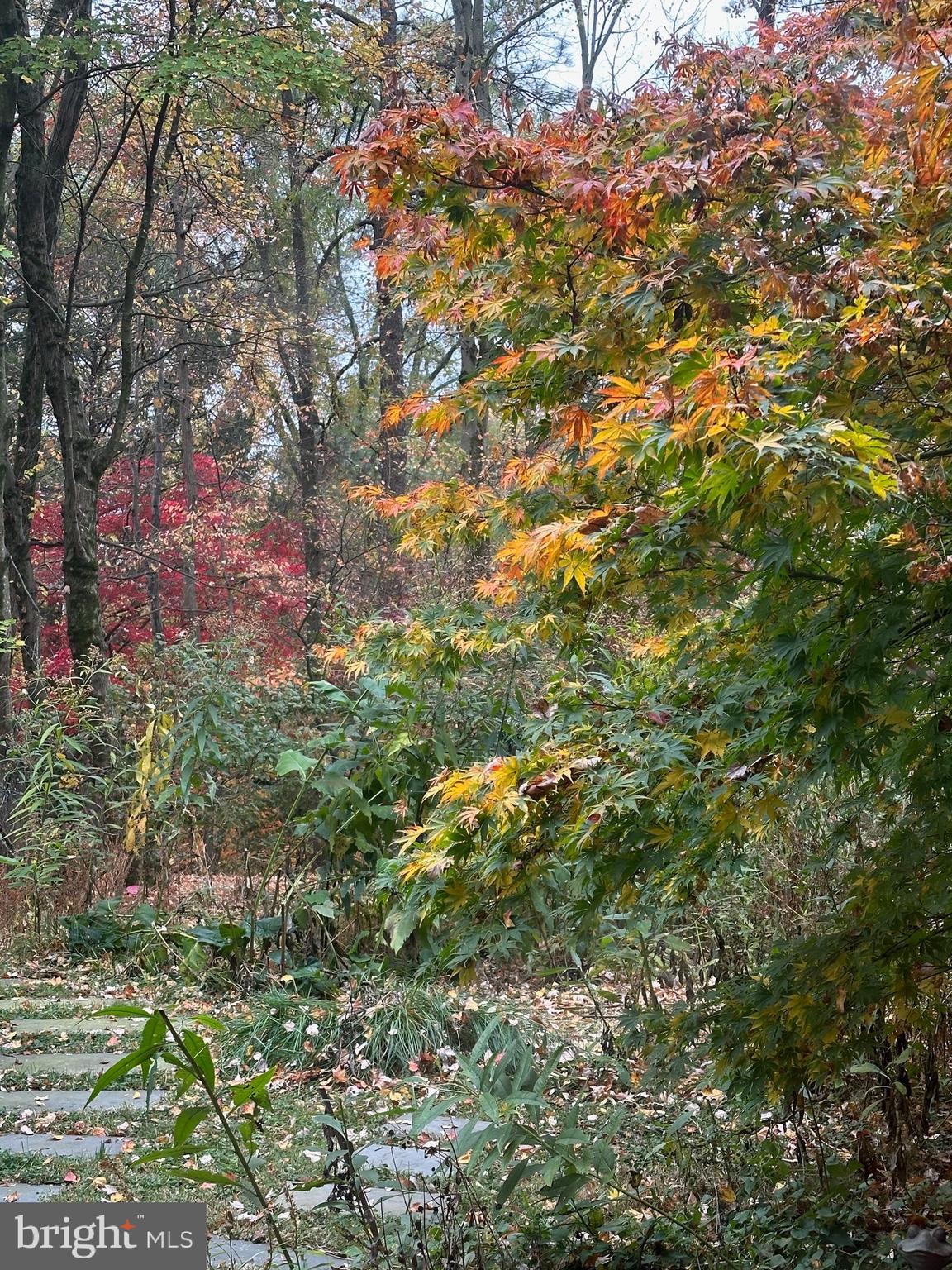 HOLLIN HILLS - Residential