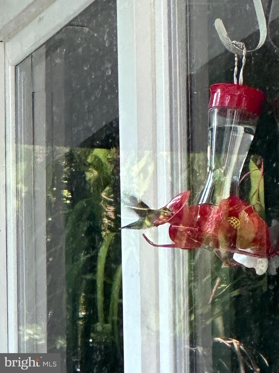 HOLLIN HILLS - Residential