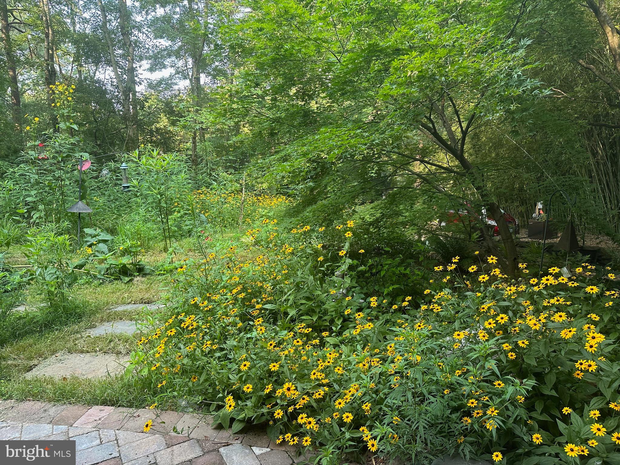 HOLLIN HILLS - Residential