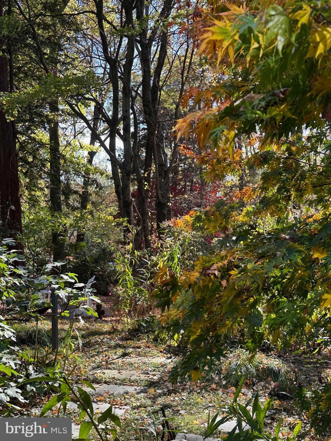 HOLLIN HILLS - Residential