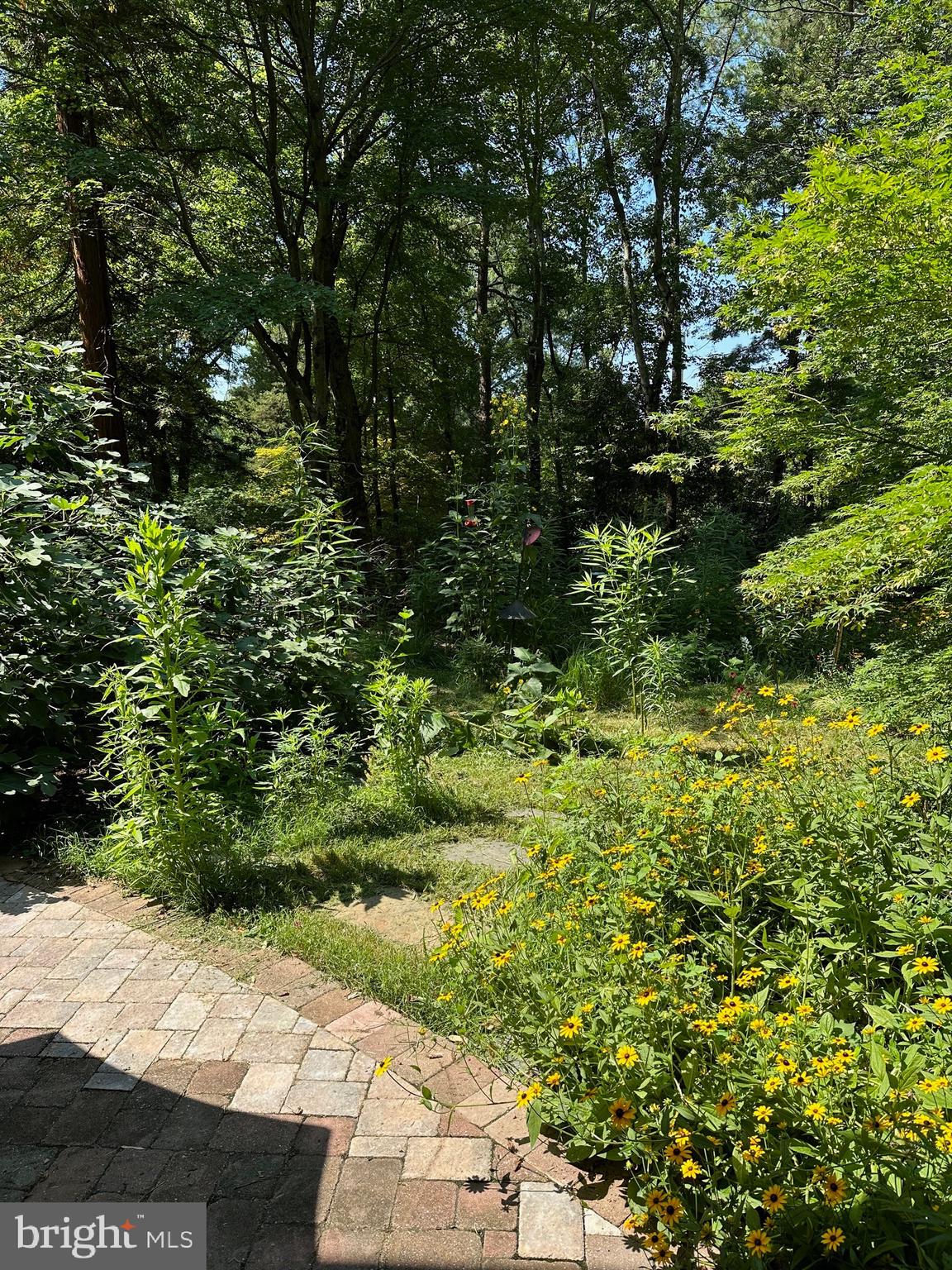 HOLLIN HILLS - Residential