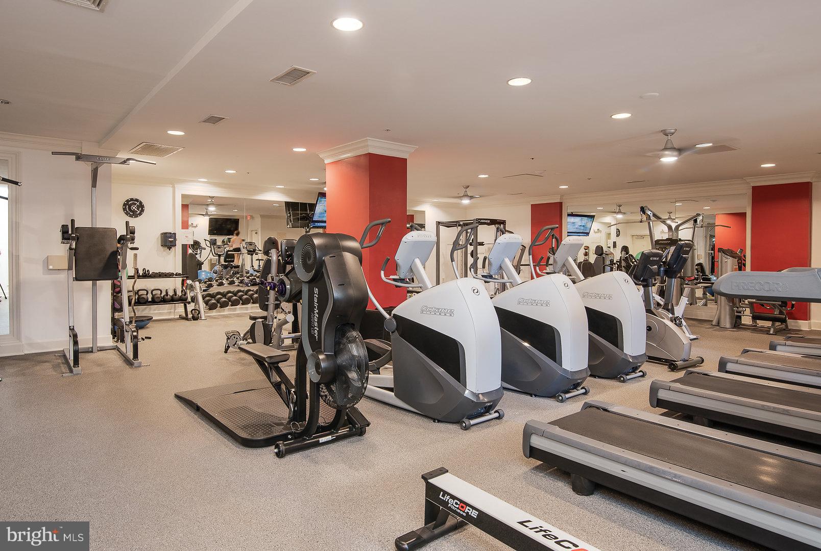 HALSTEAD AT THE METRO - Residential