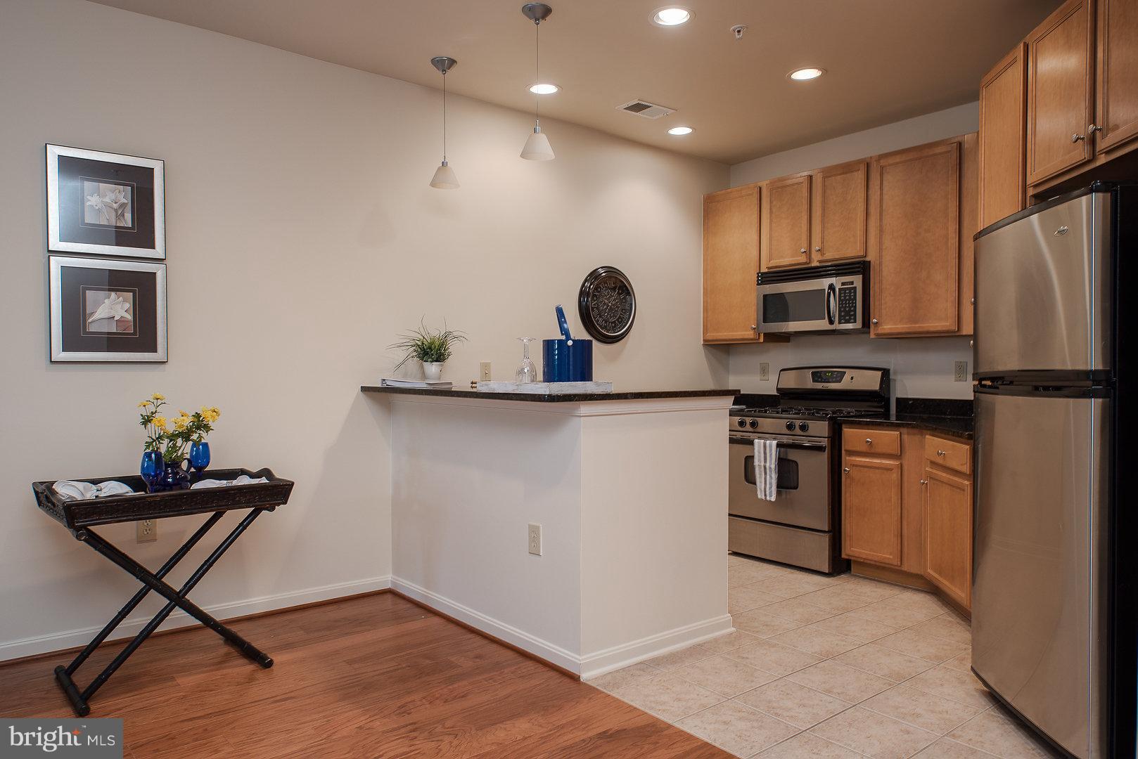 HALSTEAD AT THE METRO - Residential