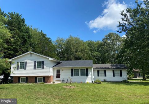 7347 SHIRLEY DRIVE EASTON MD 21601