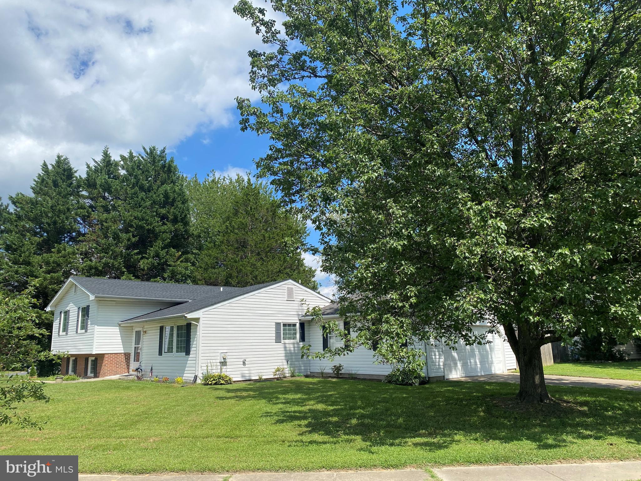7347 SHIRLEY DRIVE