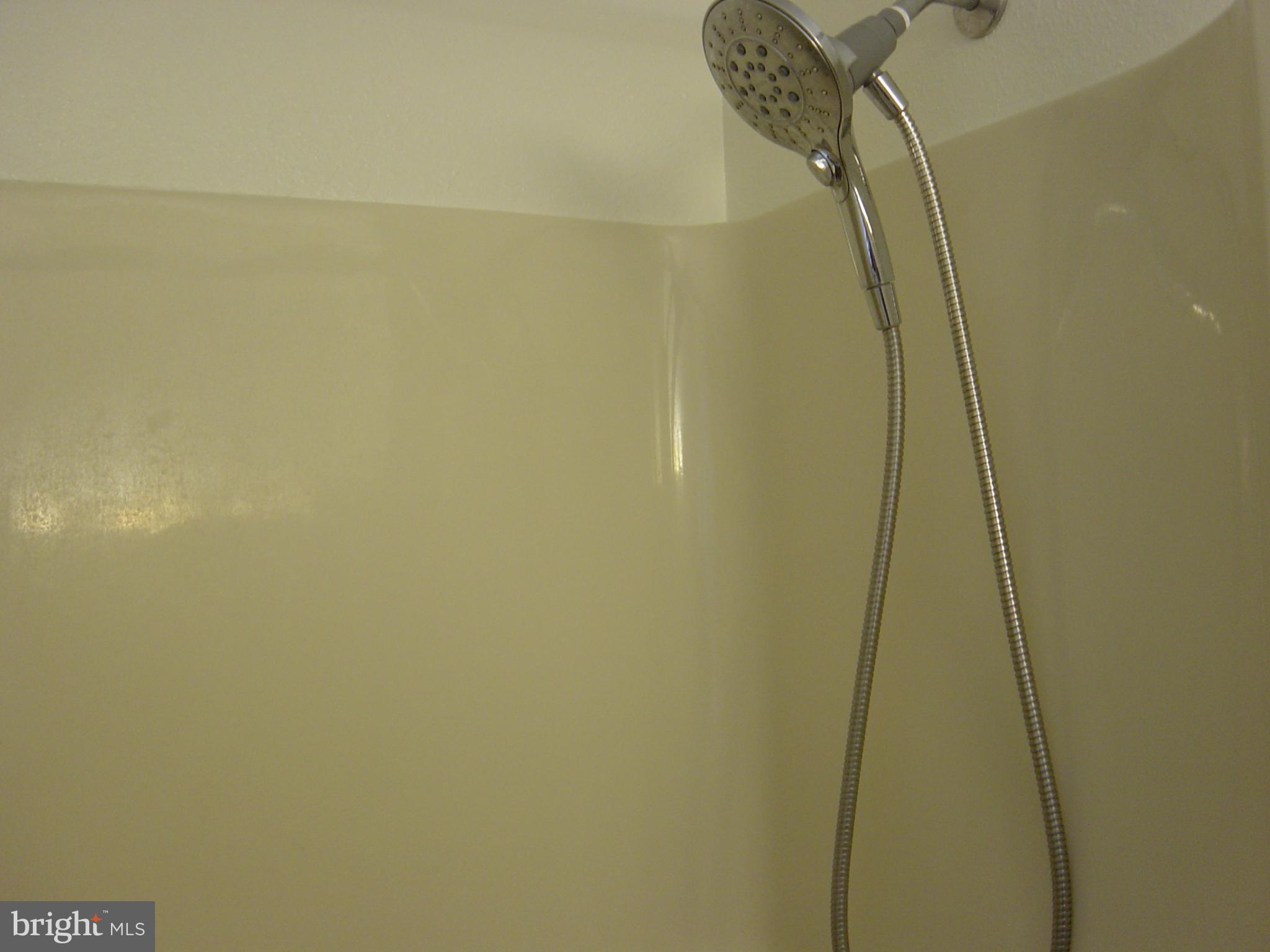 CAINE WOODS - Residential Lease