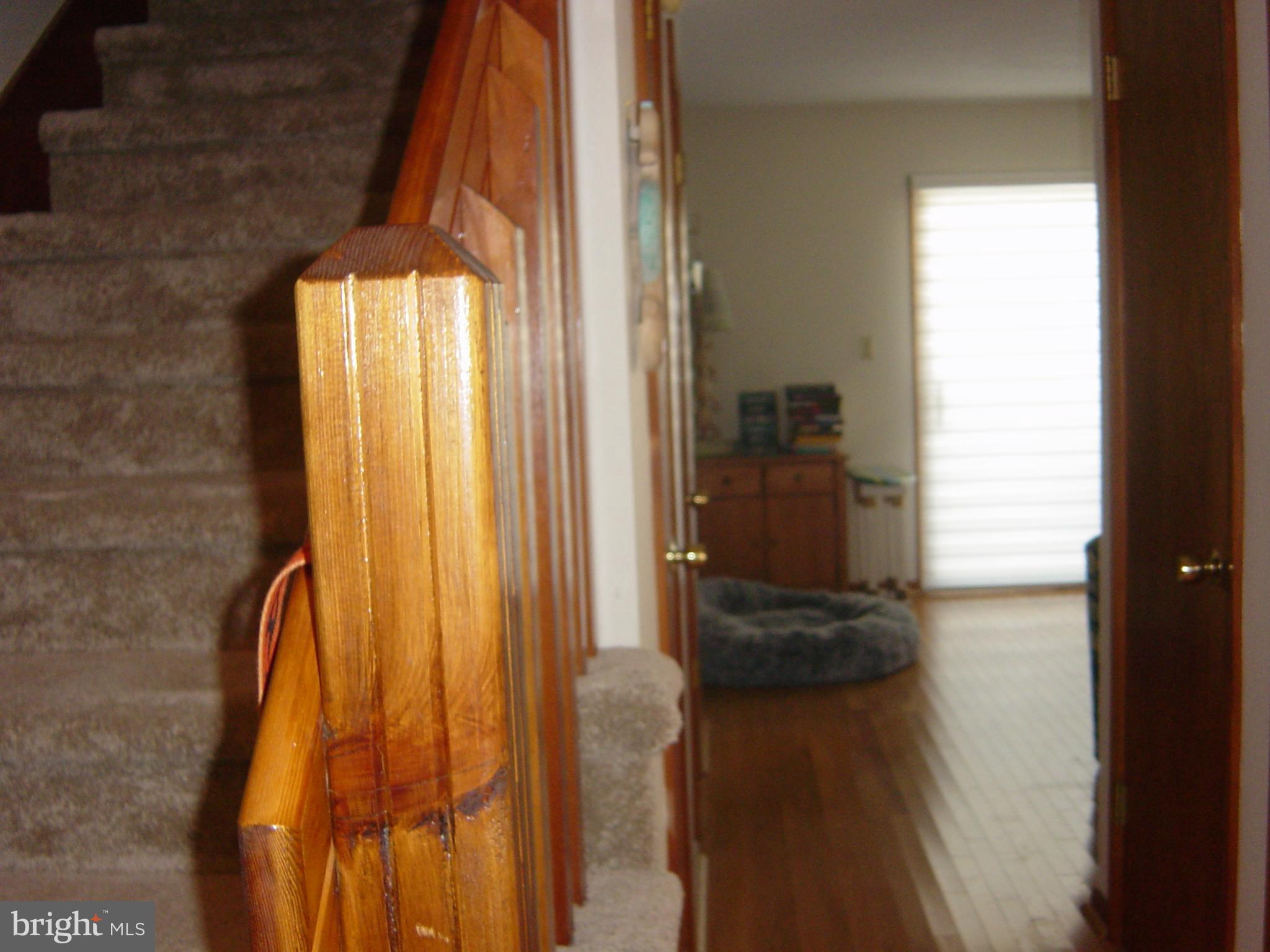 CAINE WOODS - Residential Lease