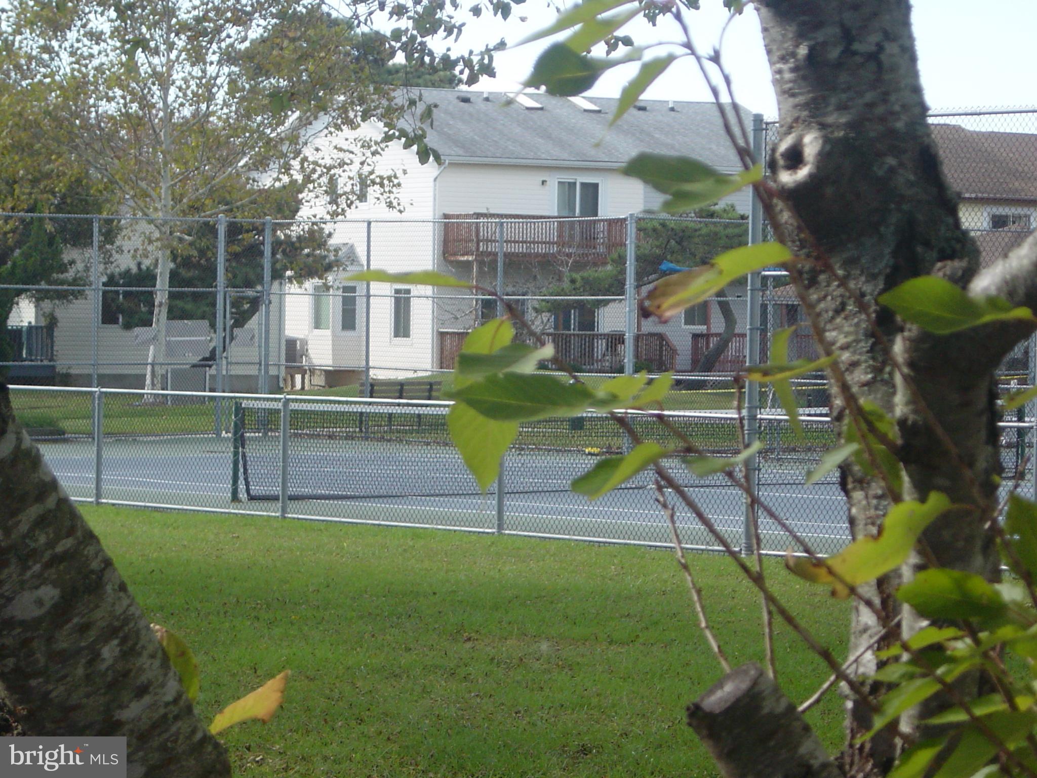 CAINE WOODS - Residential Lease