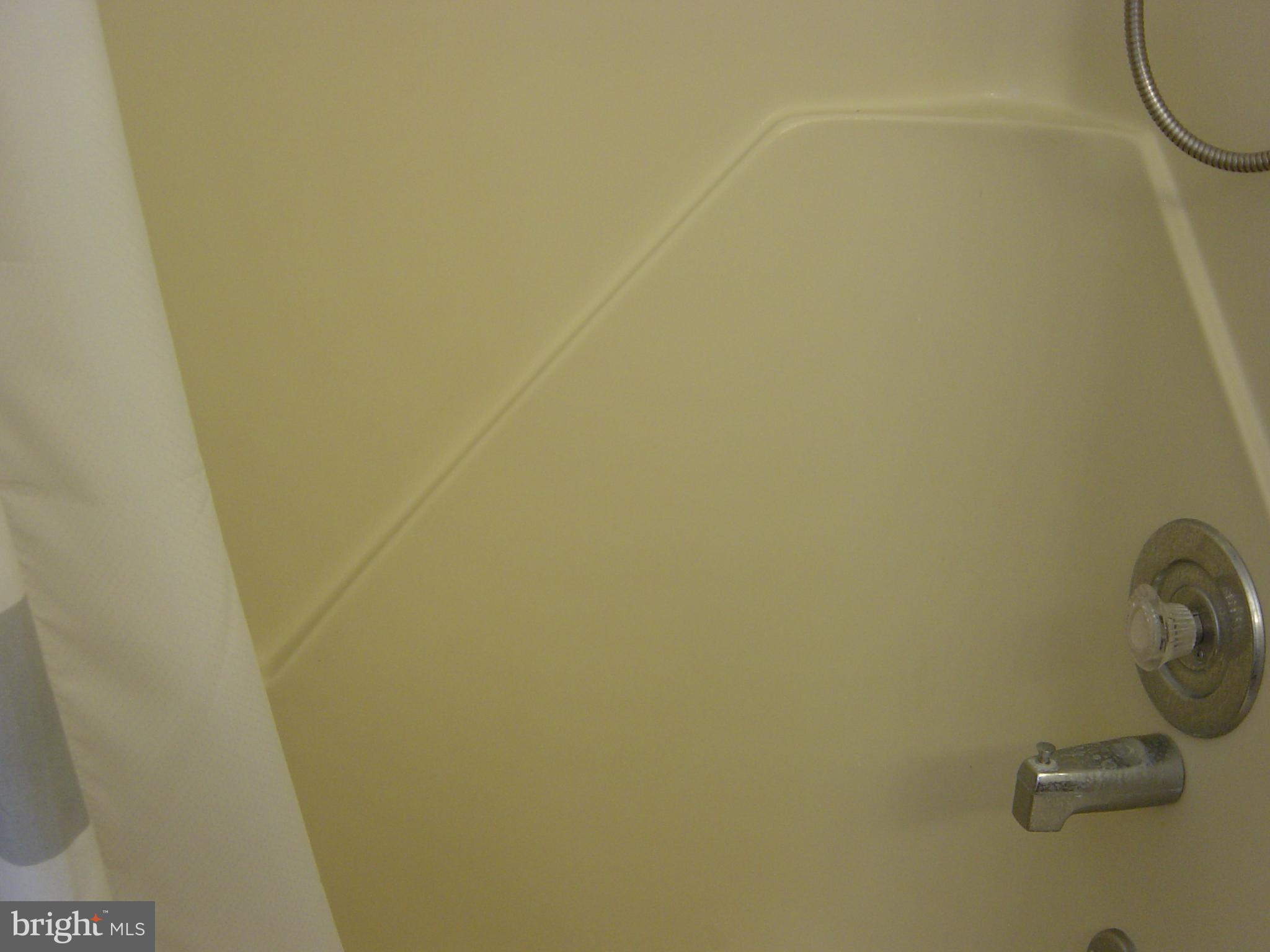 CAINE WOODS - Residential Lease