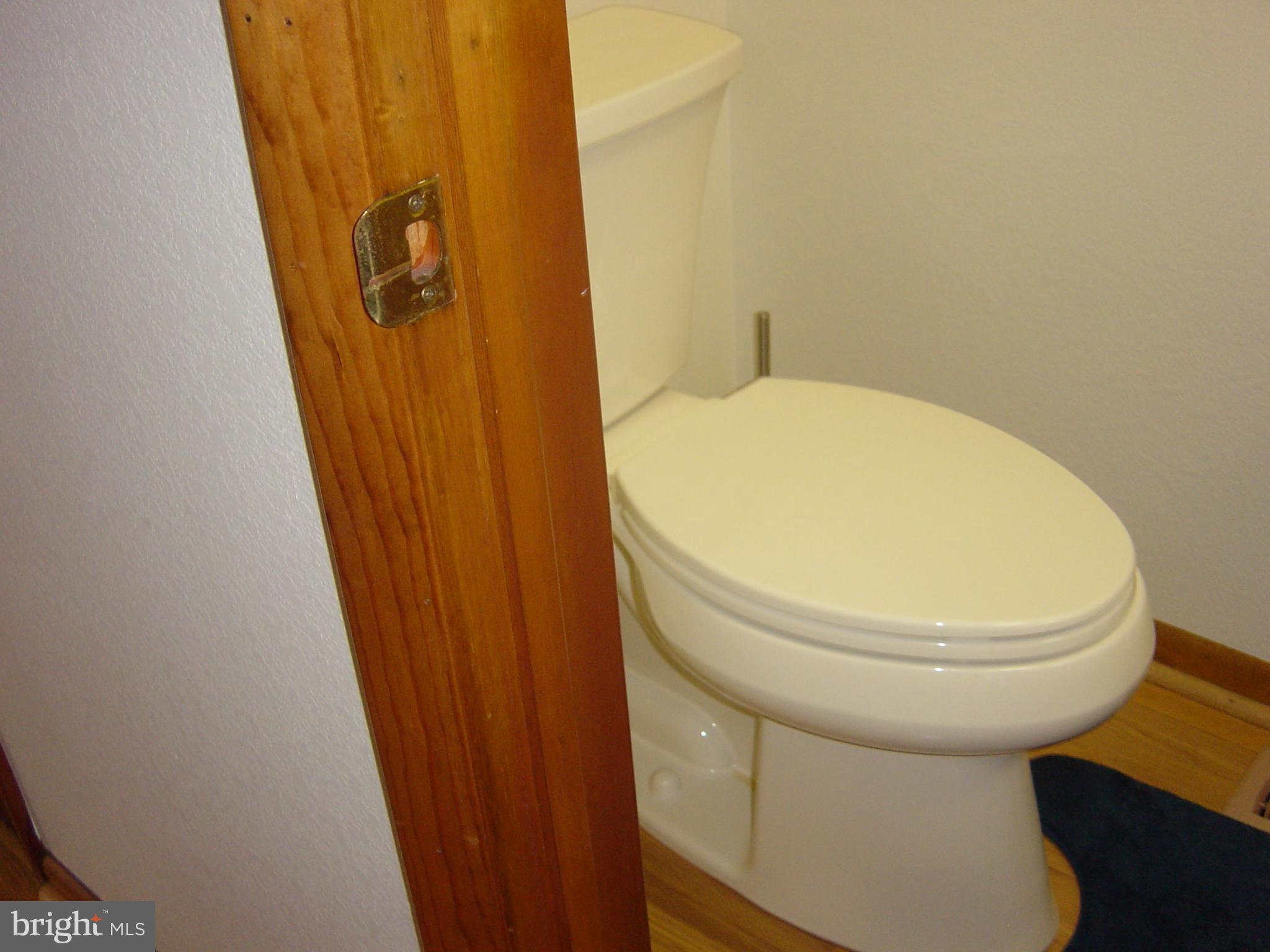 CAINE WOODS - Residential Lease