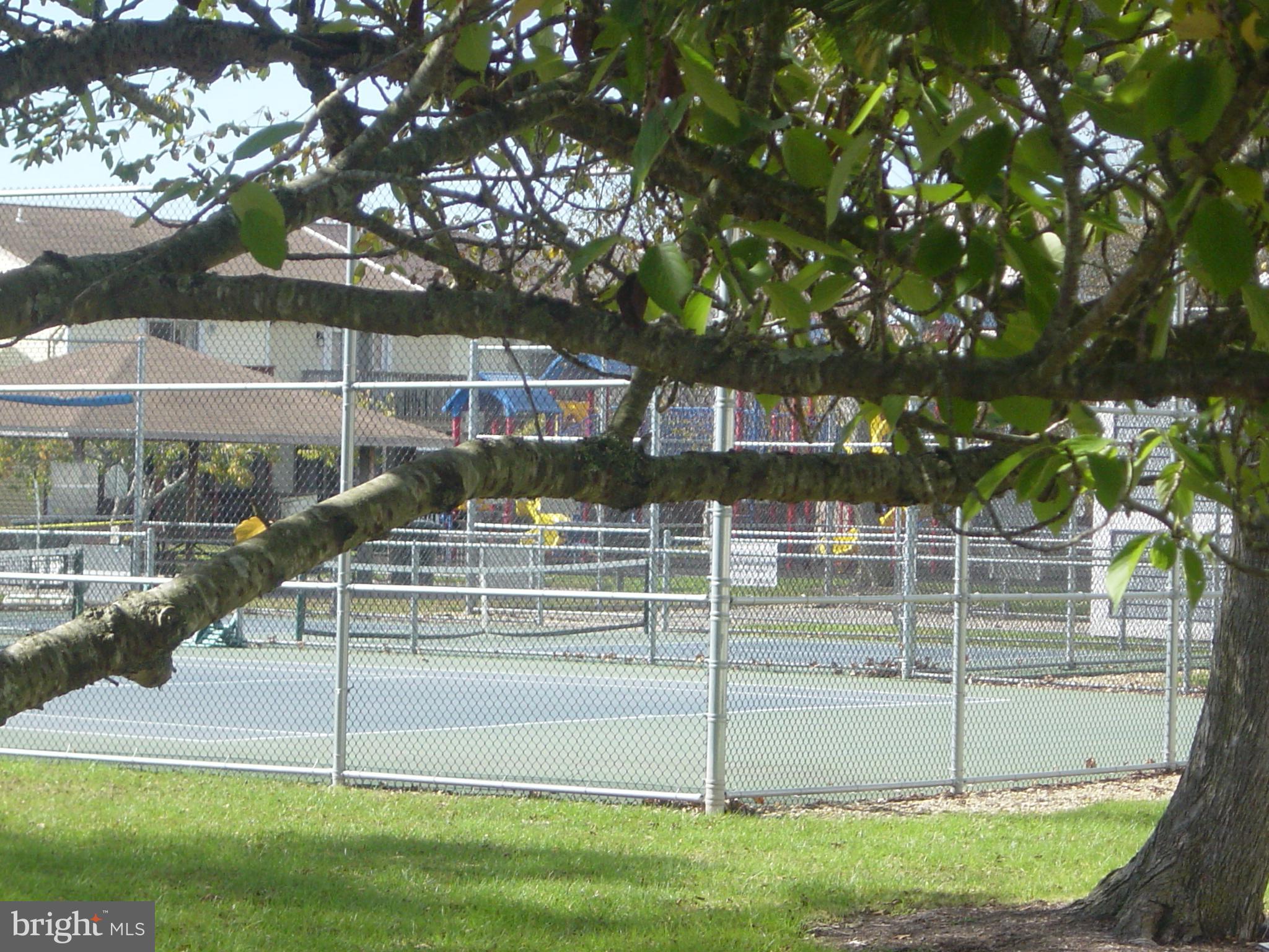 CAINE WOODS - Residential Lease