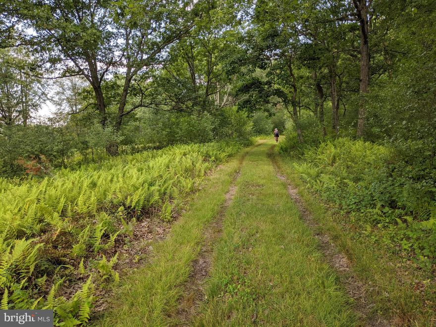 Welcome to Graystones Preserve! This first-class enclave, with a multitude of recreational options, provides an exclusive opportunity for a select group of buyers to collectively own 3,798-acres of private preserve including a personal 3 or 12-acre homesite on stunningly beautiful, peaceful property in the Mountains of Northeastern Pennsylvania. Graystones Preserve features 73 homesites (twelve-acre homesites and three-acre homesites). Twelve-acre homesites are listed between $750,000 and $975,000 and three-acre homesites run between $595,000 and $675,000; each providing privacy, view corridors, accessibility, and river or panoramic vistas. Consistent with the theme of self-reliance, each homesite will have its own well and septic. Literally surrounded by state parks, the rolling hills of this valley overlook Graystones Preserve's renowned 3.5-mile trout stream complete with waterfalls, big trout and bald eagles. These strategically positioned homesites have 25-mile, uninterrupted views. The preserve will be adding carefully planned amenities and services to create a connected experience while also featuring privacy. Once an initial group of homesites are purchased, Preservation Graystones LLC will transfer ownership of the entire preserve to a new Preserve Owners LLC. The new LLC will own all of the common areas of the preserve (the entire preserve with the exception of the homesites) and construction will begin on amenities and infrastructure. The Preserve offers a unique combination of privacy, luxury, and accessibility where owners will enjoy a range of activities, carefully designed amenities, and the opportunity to simply relax amidst the sights and sounds of nature. Amenities will include: 9 master suites, A lodge with a great room and entertainment kitchen, Game room, New Dock, Swimming pool with 25-Mile View, Tended Organic Vegetable and Flower Gardens, 200-Acre Open Meadow, Gun club (including skeet, trap, and sporting clays), Fitness facility, and a Fly-tying room. An array of services including maintenance, cleaning, grocery delivery, and local chefs available to owners. Easy access around the preserve via walking, hiking, biking, and ATVs. Robust Internet access for all suites and homes. Only an hour and a half drive from Philadelphia and two hours from New York City makes an easy meeting place to connect with like-minded nature lovers and a central place to gather with 
family. Graystones Preserve is five times the size of Central Park and twice the size of Fairmount Park in Philadelphia. Adults commonly feel a childlike sense of freedom and a familiar back-to-nature exhilaration. Taxes TBD.