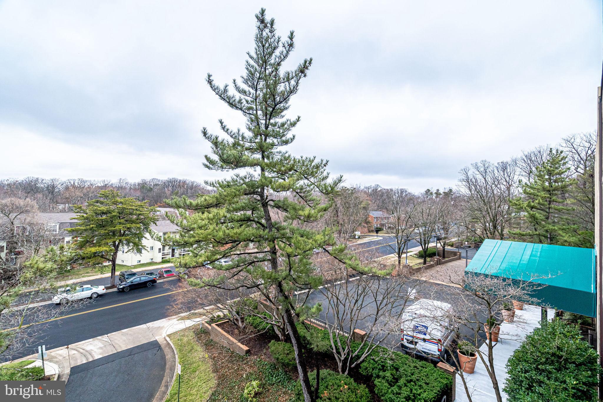 THE PLAZA - Residential Lease