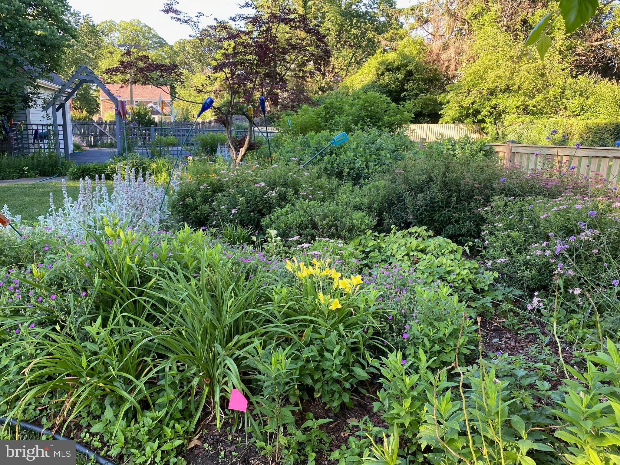 WAVERLY HILLS - Residential