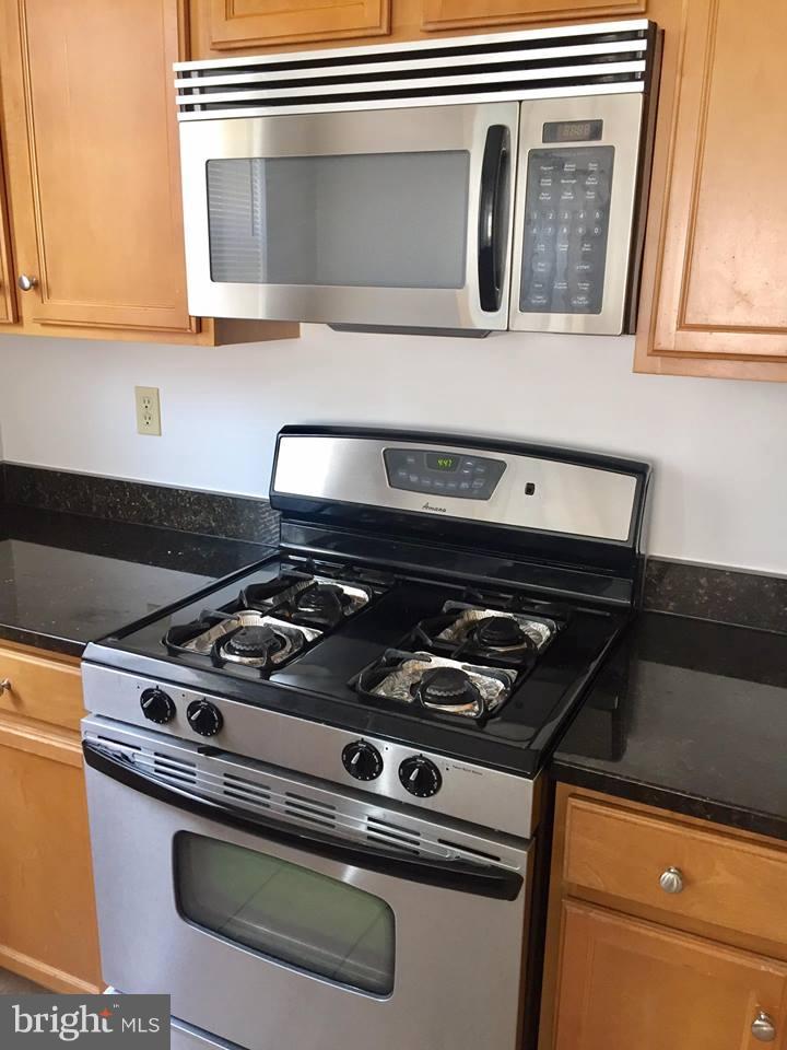 HALSTEAD AT THE METRO - Residential Lease