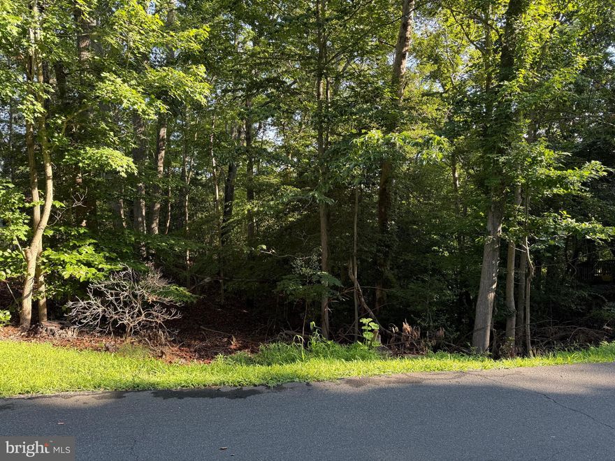 Check out this land! Almost a half an acre in the Chesapeake Ranch Estates. The lot overlooks the water. The lot perc'd in 2003. Please reach out with any questions.