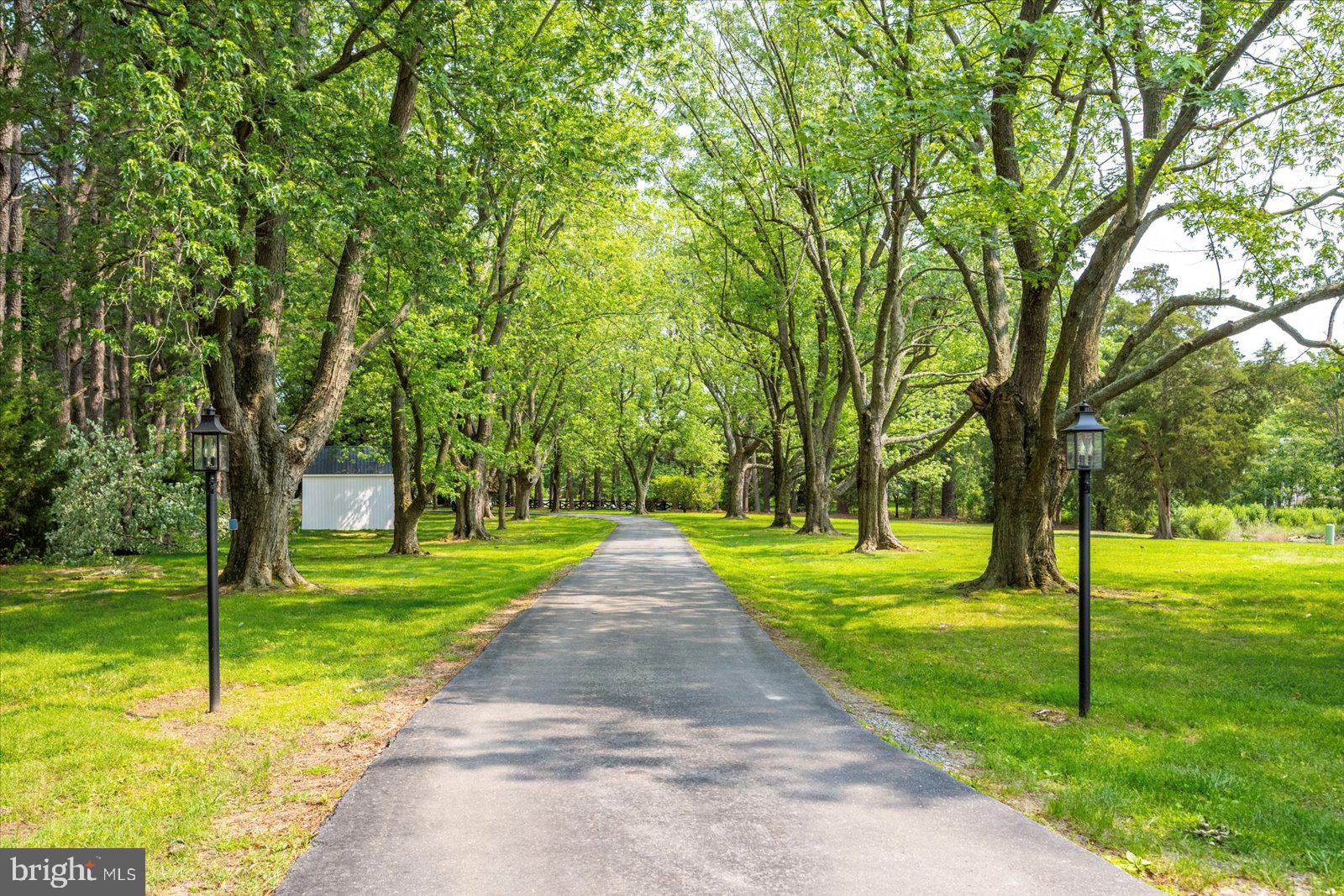 MOUNT PLEASANT - Residential