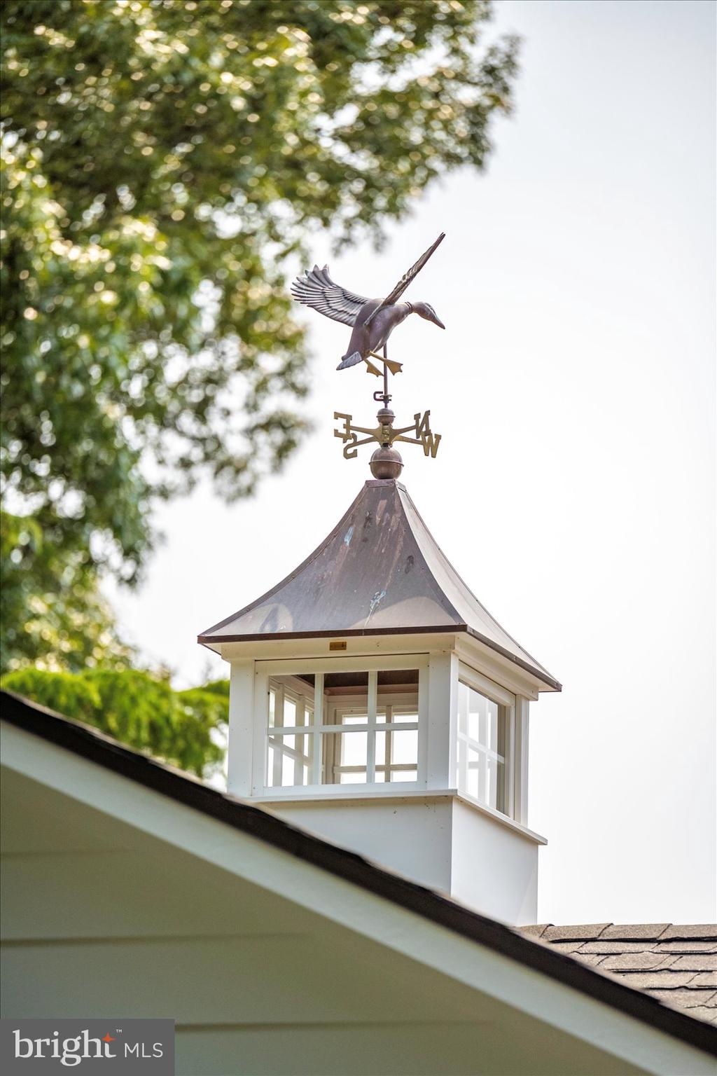 MOUNT PLEASANT - Residential