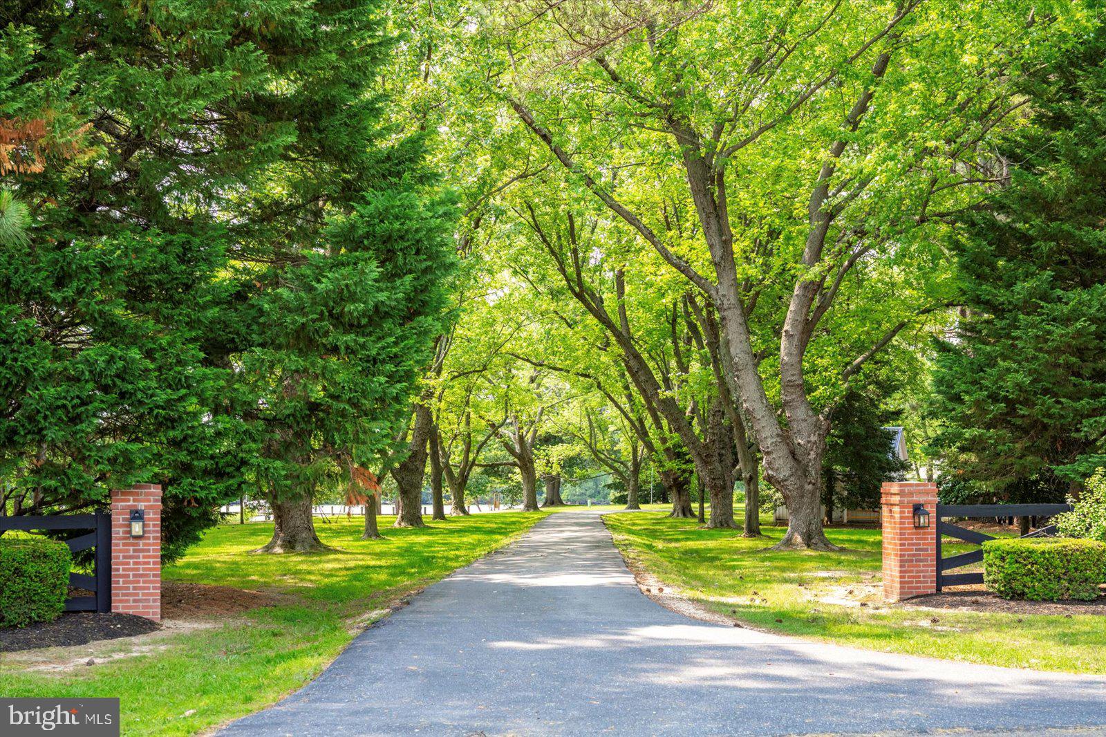 MOUNT PLEASANT - Residential