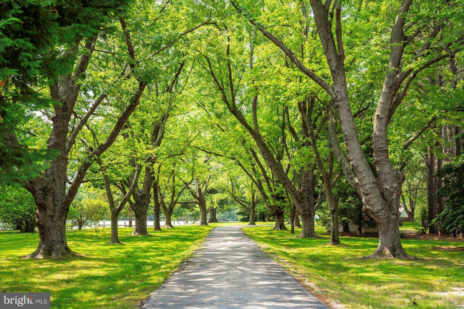 MOUNT PLEASANT - Residential