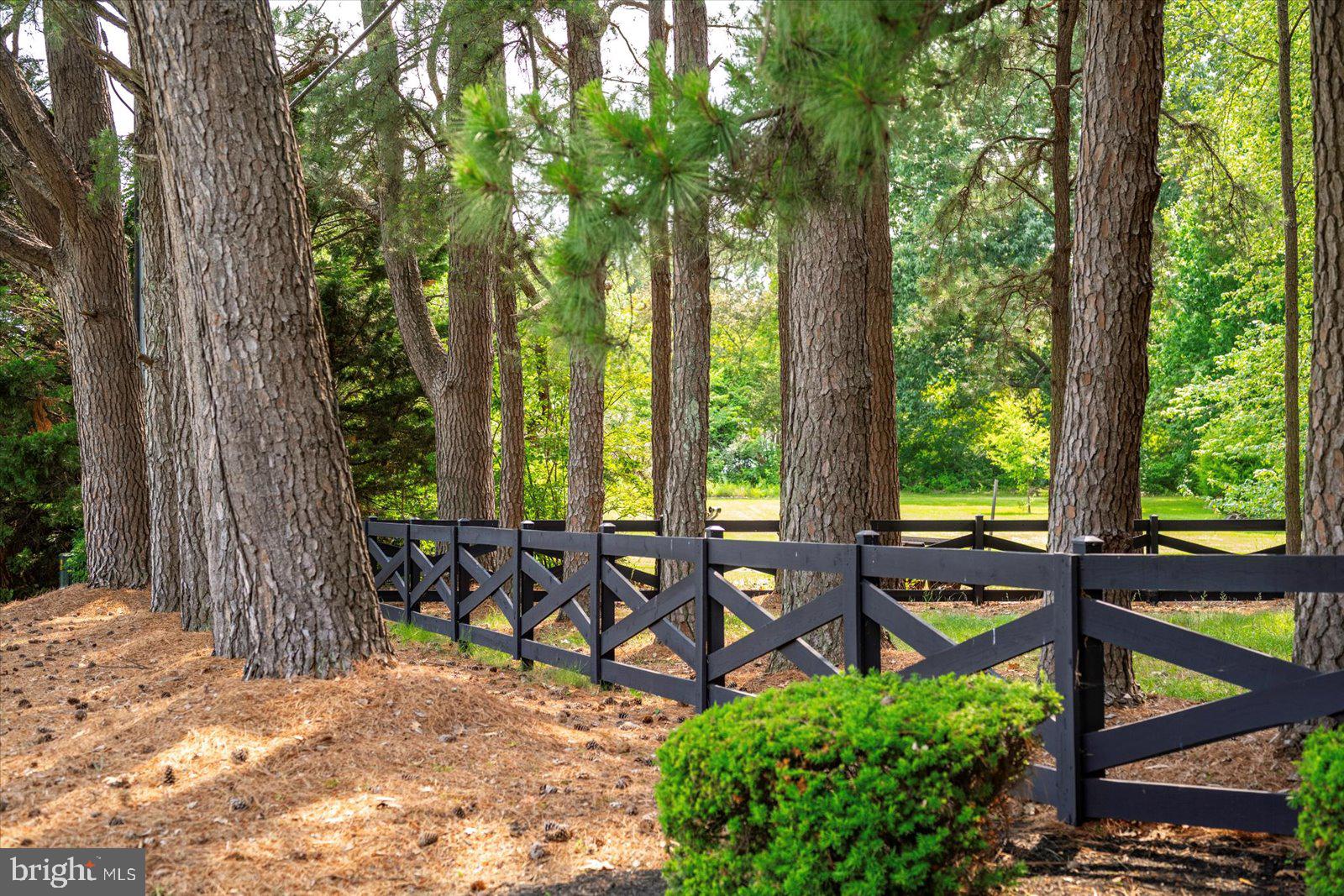 MOUNT PLEASANT - Residential