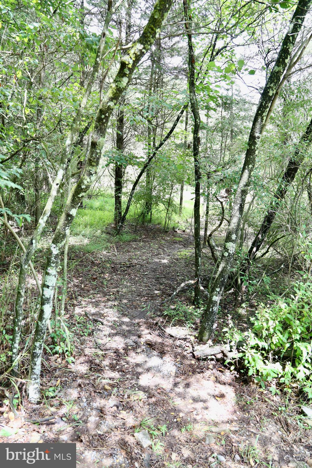 TROUT POND PROPERTY OWNERS ASSOCIATION - Residential