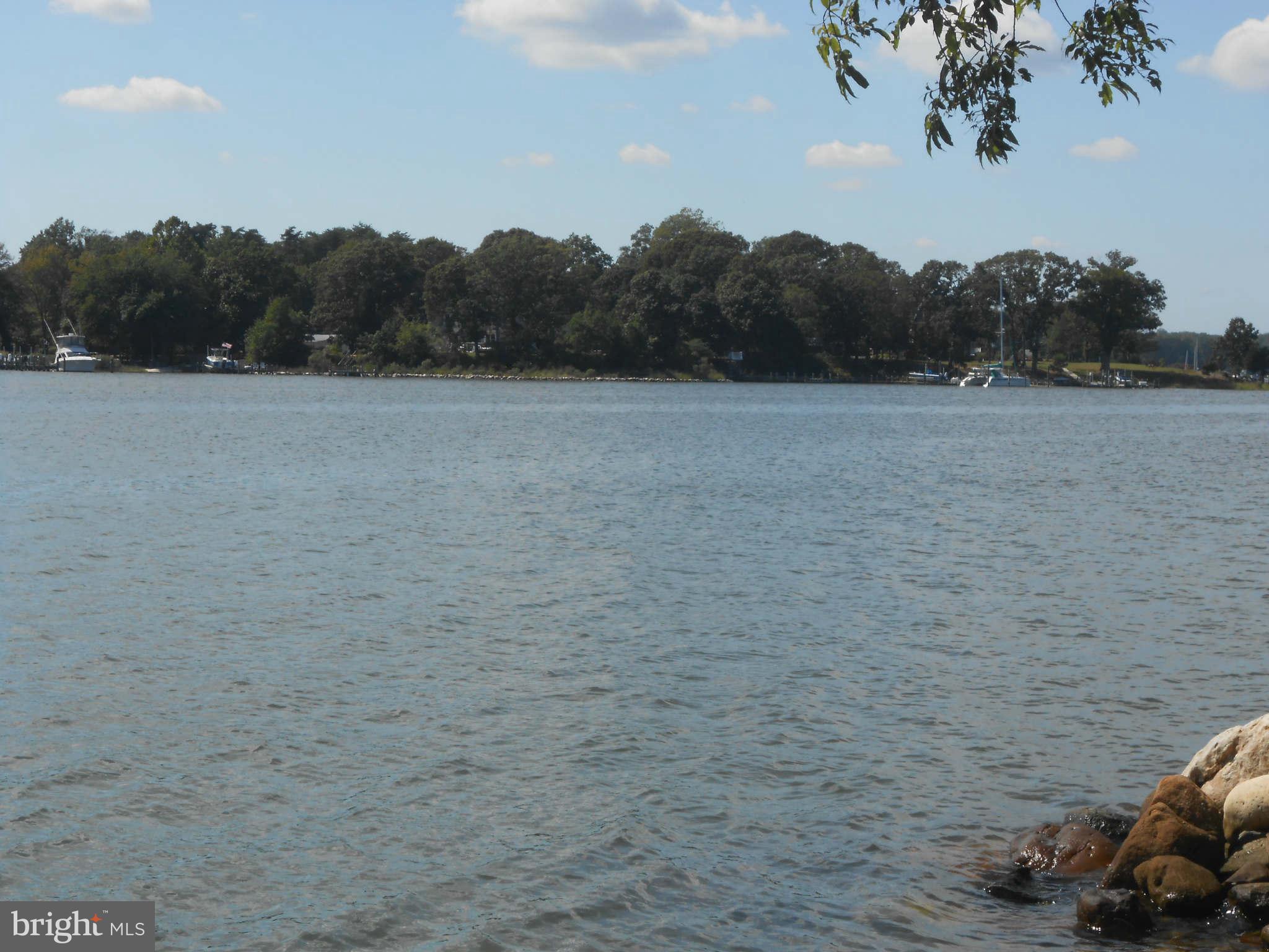 HALF PONE POINT - Residential Lease